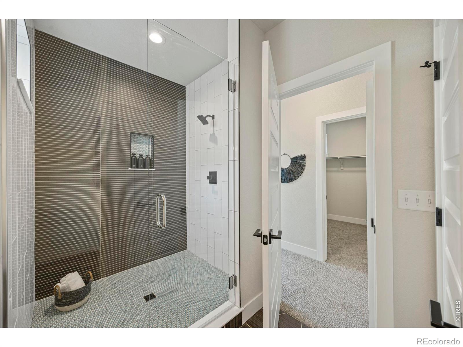 MLS Image #29 for 444  osiander street,fort collins, Colorado