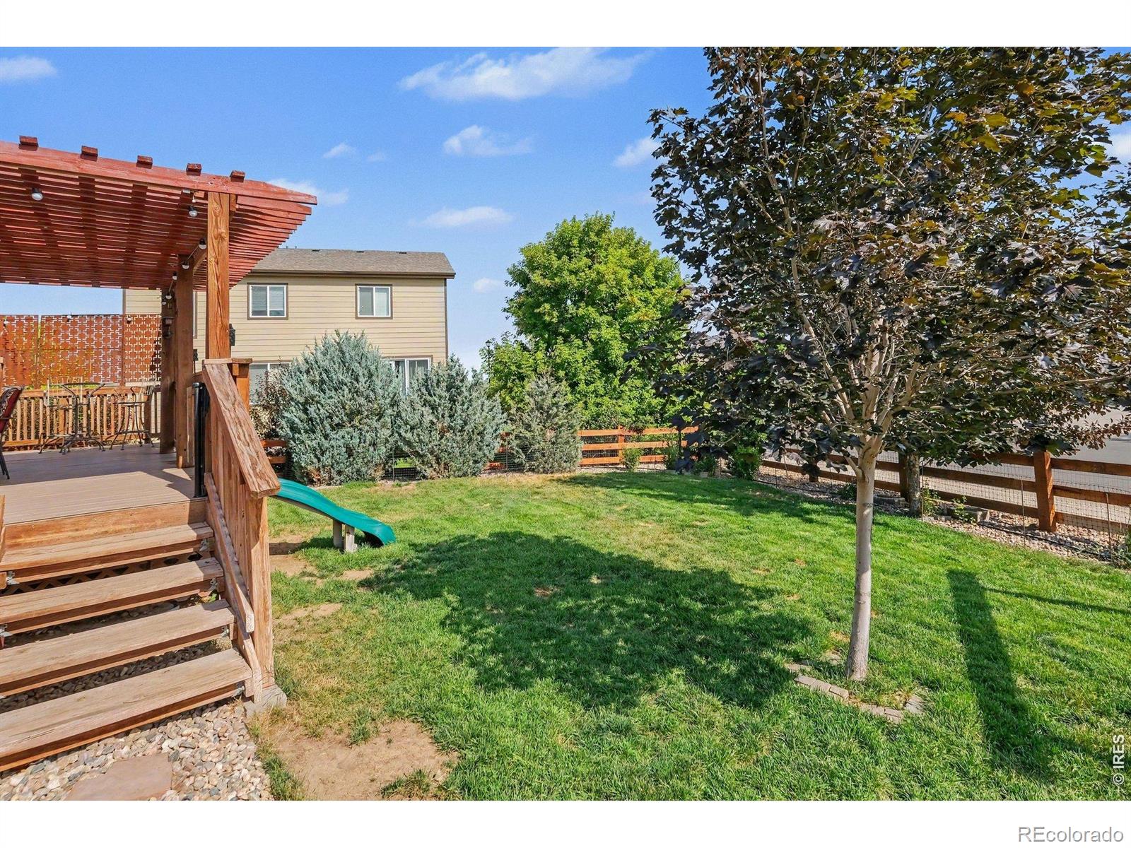 MLS Image #9 for 343  stoll drive,windsor, Colorado