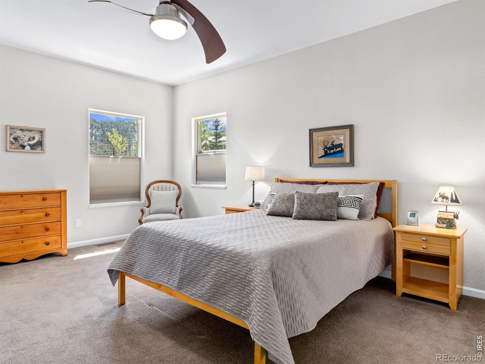 MLS Image #25 for 1900  gray hawk court,estes park, Colorado