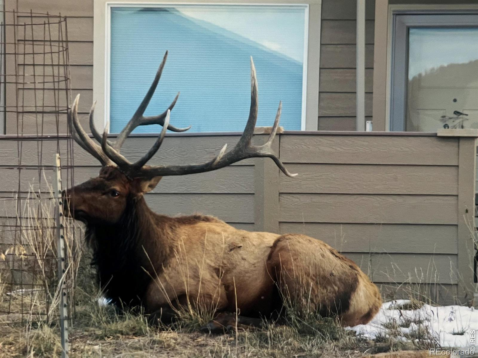 MLS Image #39 for 1900  gray hawk court,estes park, Colorado