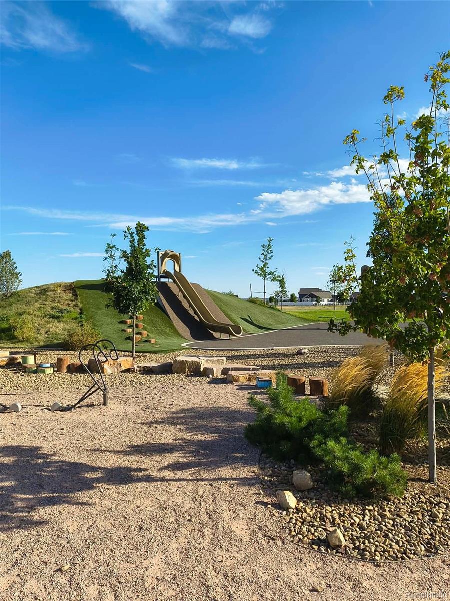 MLS Image #36 for 1833  castle hill drive,windsor, Colorado