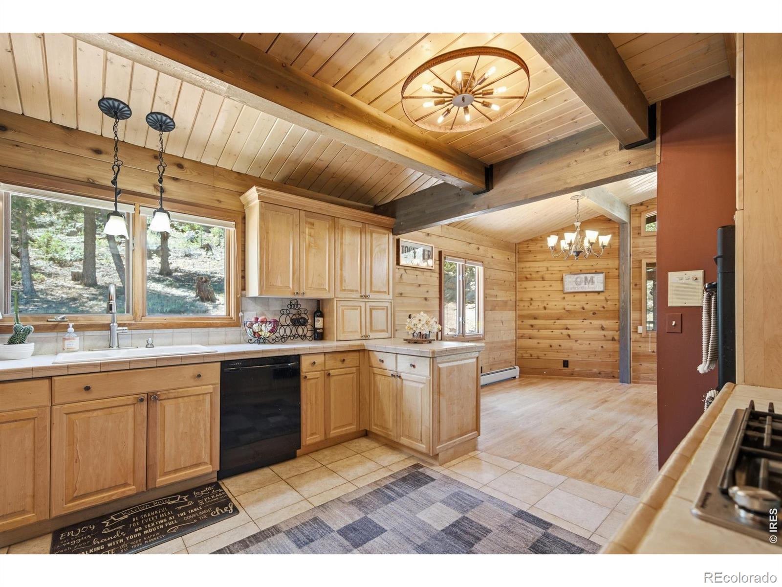 MLS Image #10 for 600  landers street,estes park, Colorado