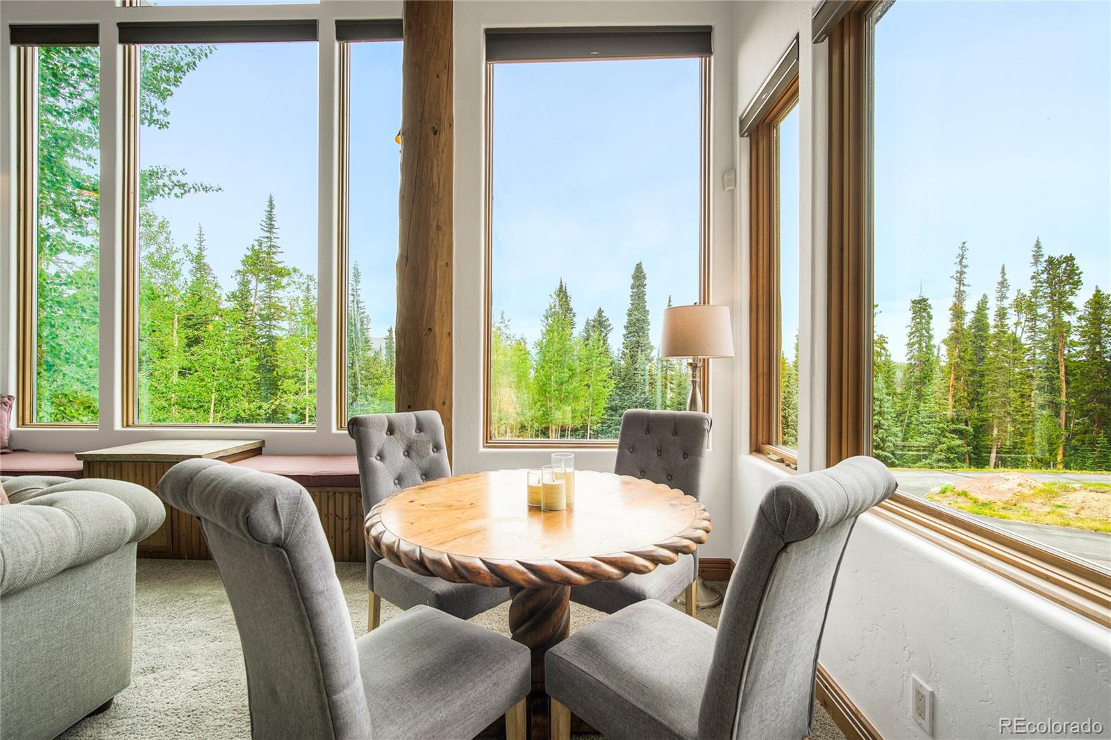 MLS Image #18 for 264  little sallie barber trail,breckenridge, Colorado