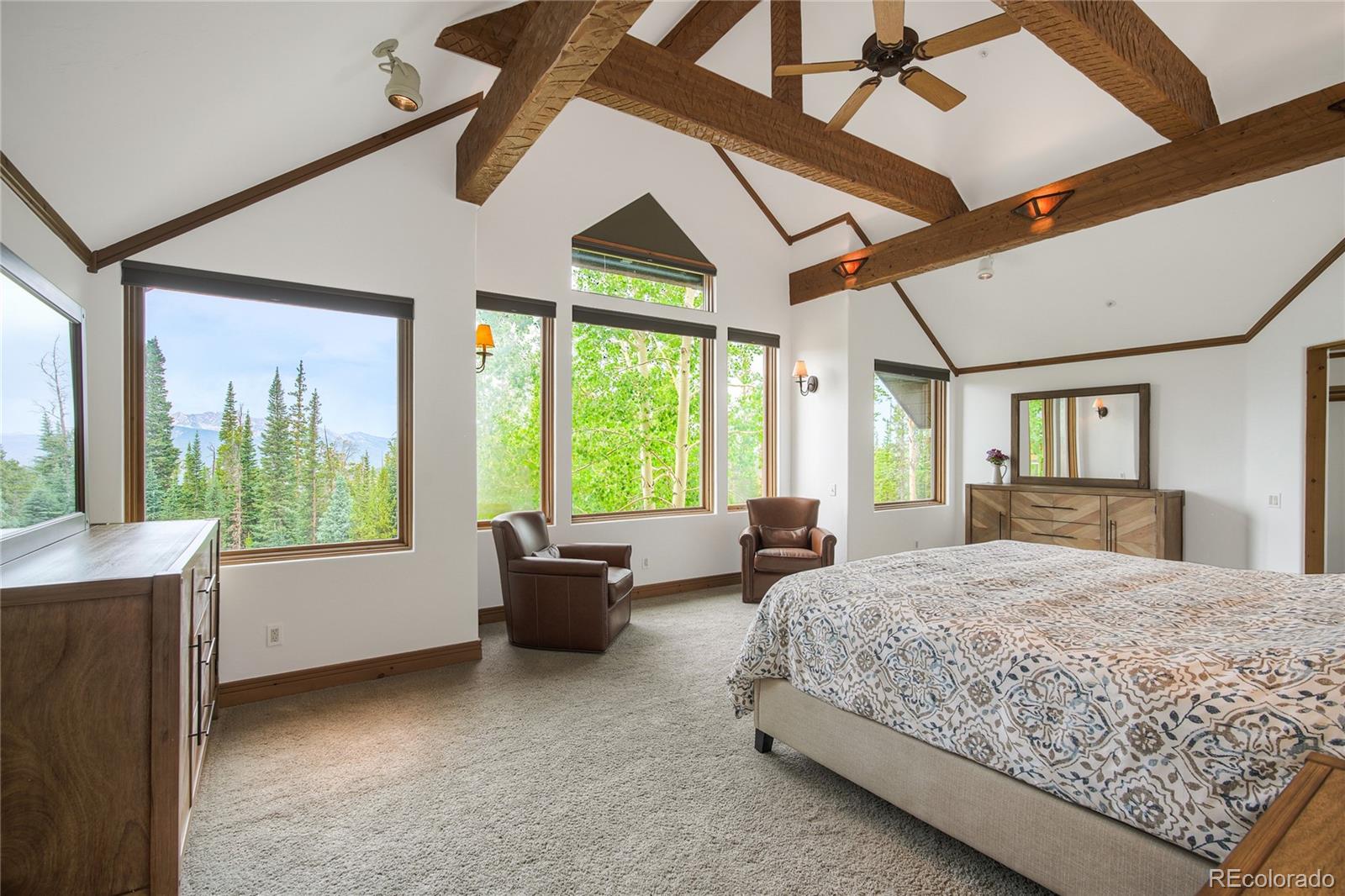 MLS Image #35 for 264  little sallie barber trail,breckenridge, Colorado