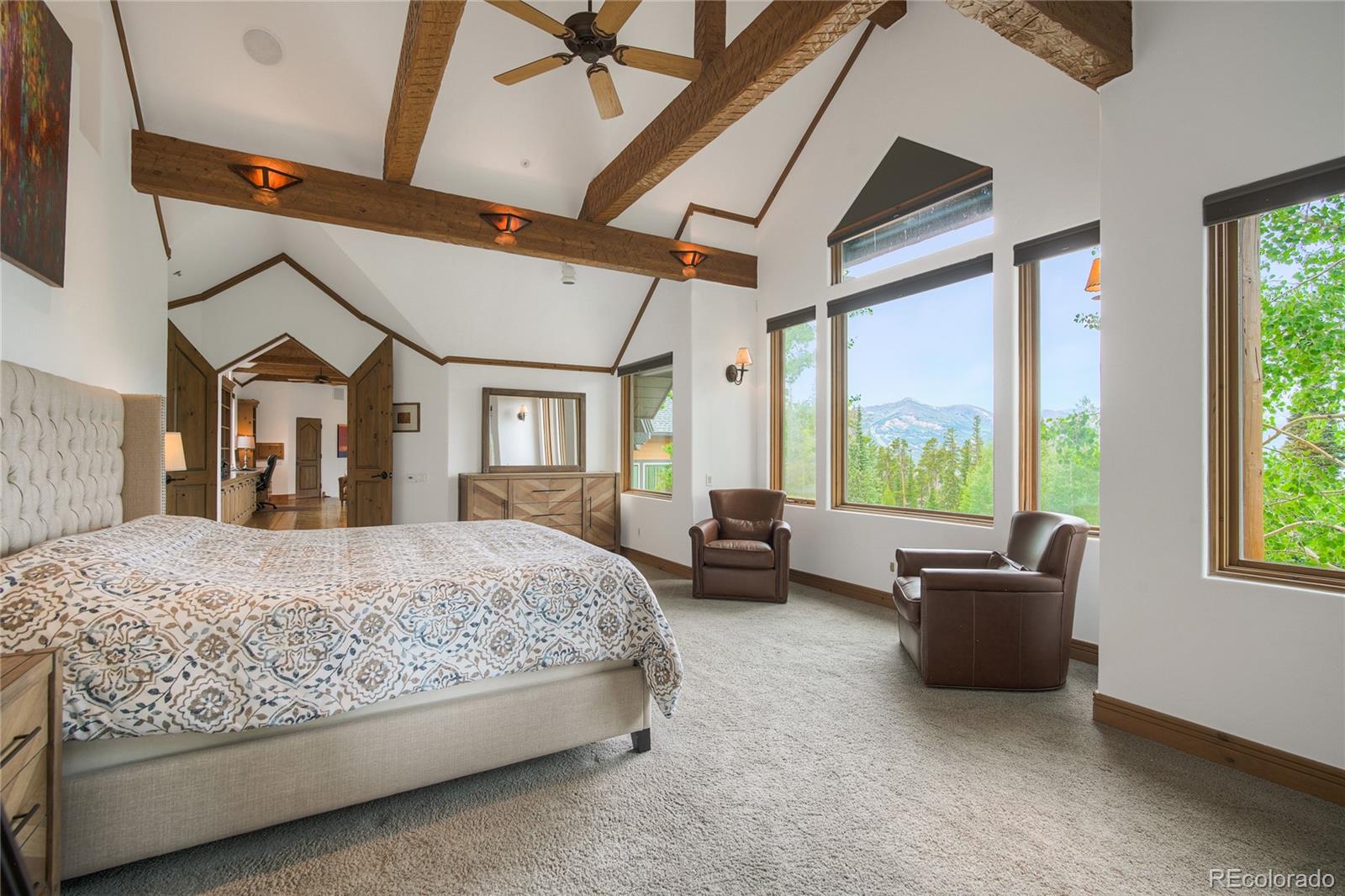 MLS Image #36 for 264  little sallie barber trail,breckenridge, Colorado