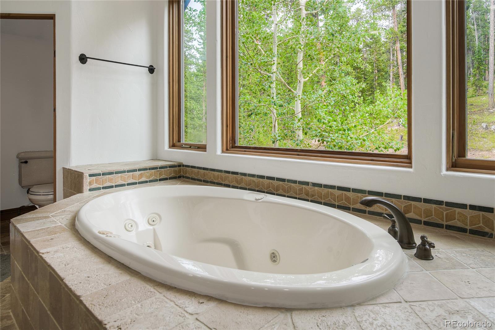 MLS Image #40 for 264  little sallie barber trail,breckenridge, Colorado