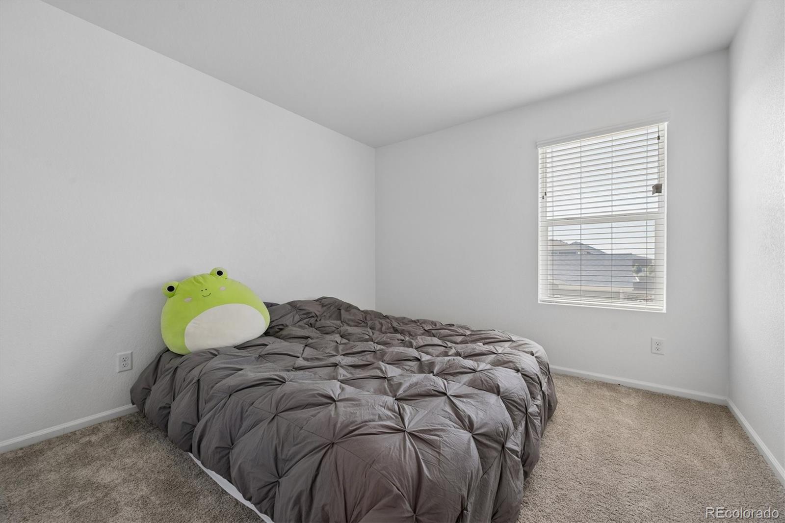 MLS Image #12 for 21052 e 60th avenue,aurora, Colorado