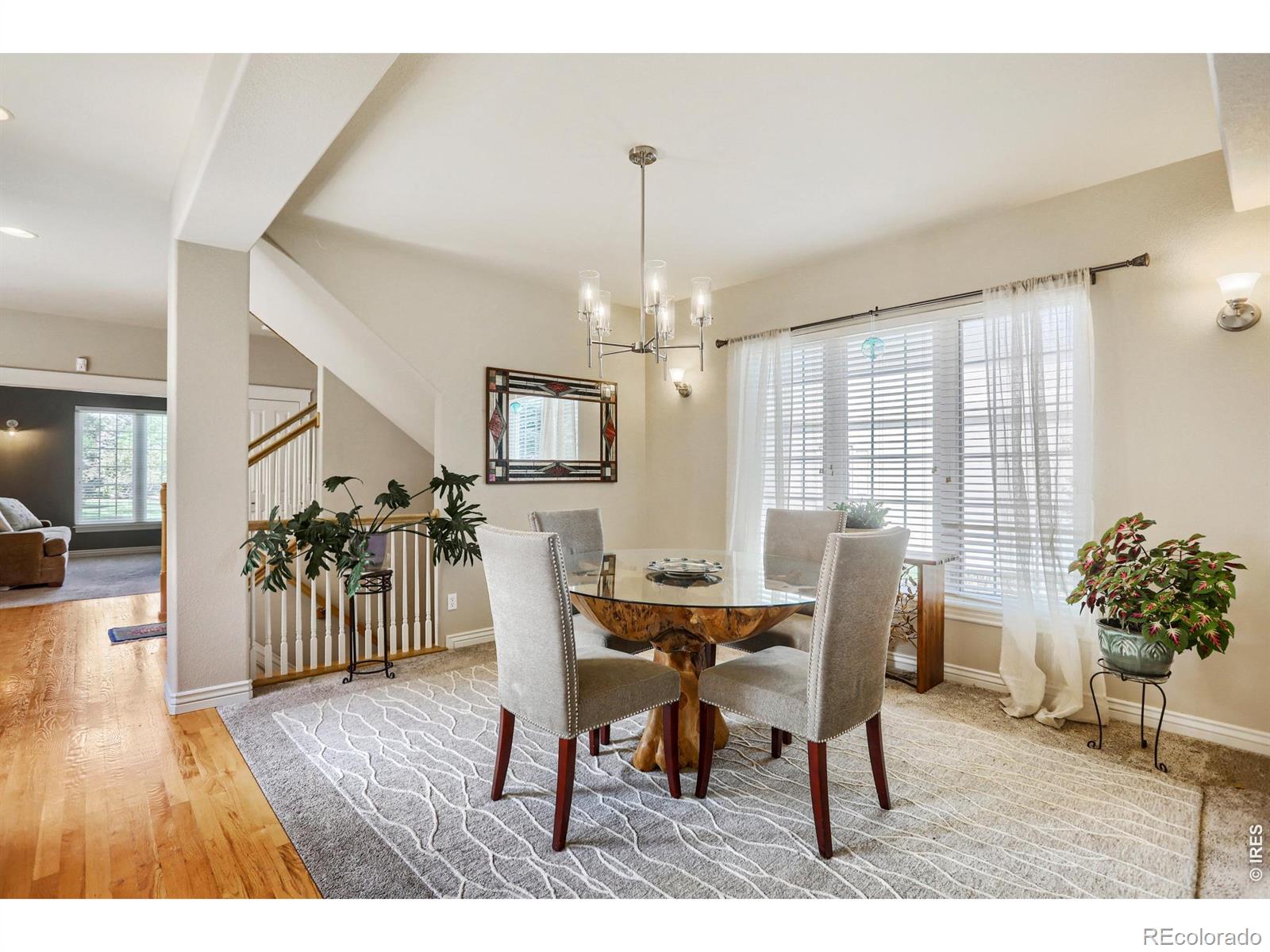 MLS Image #8 for 1001  wyndemere circle,longmont, Colorado