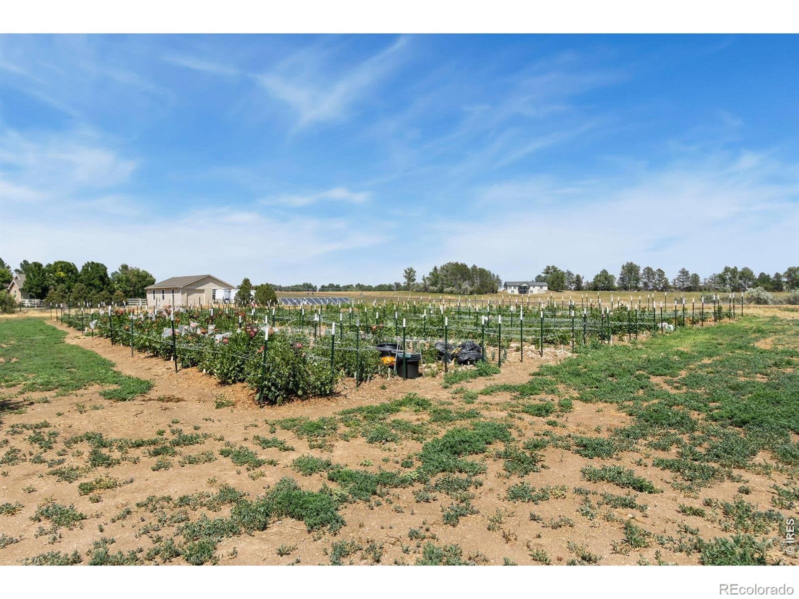 MLS Image #33 for 444 e county road 68 ,fort collins, Colorado