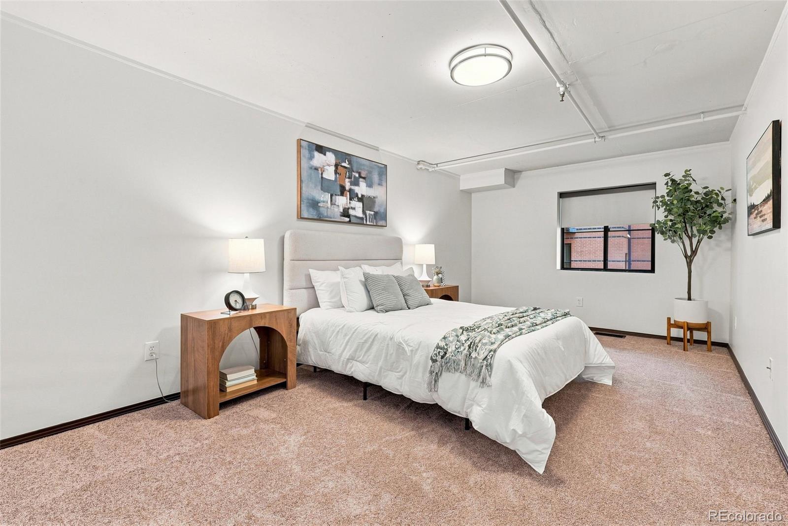 MLS Image #20 for 930  acoma street,denver, Colorado