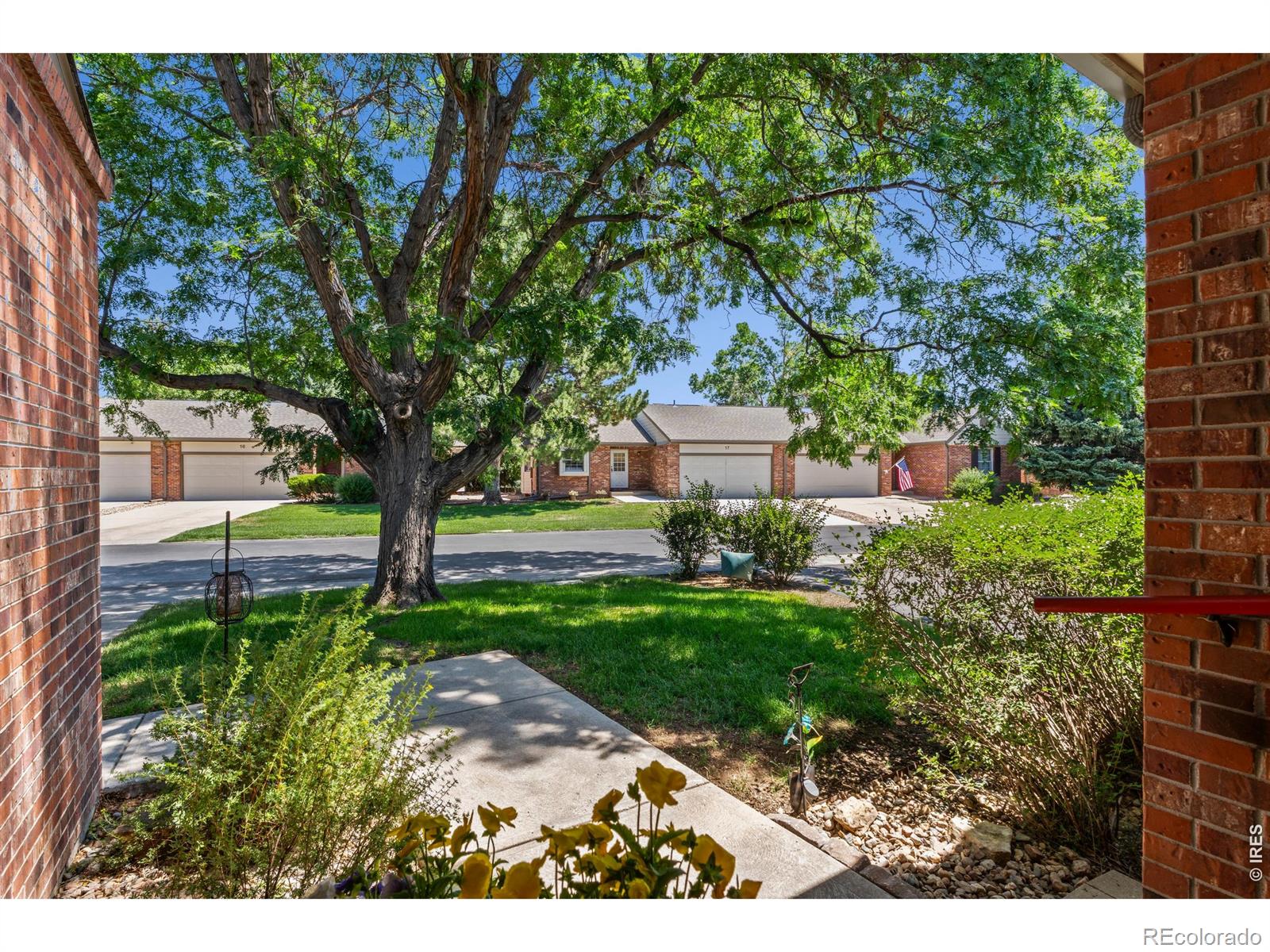 MLS Image #4 for 720  arbor avenue,fort collins, Colorado