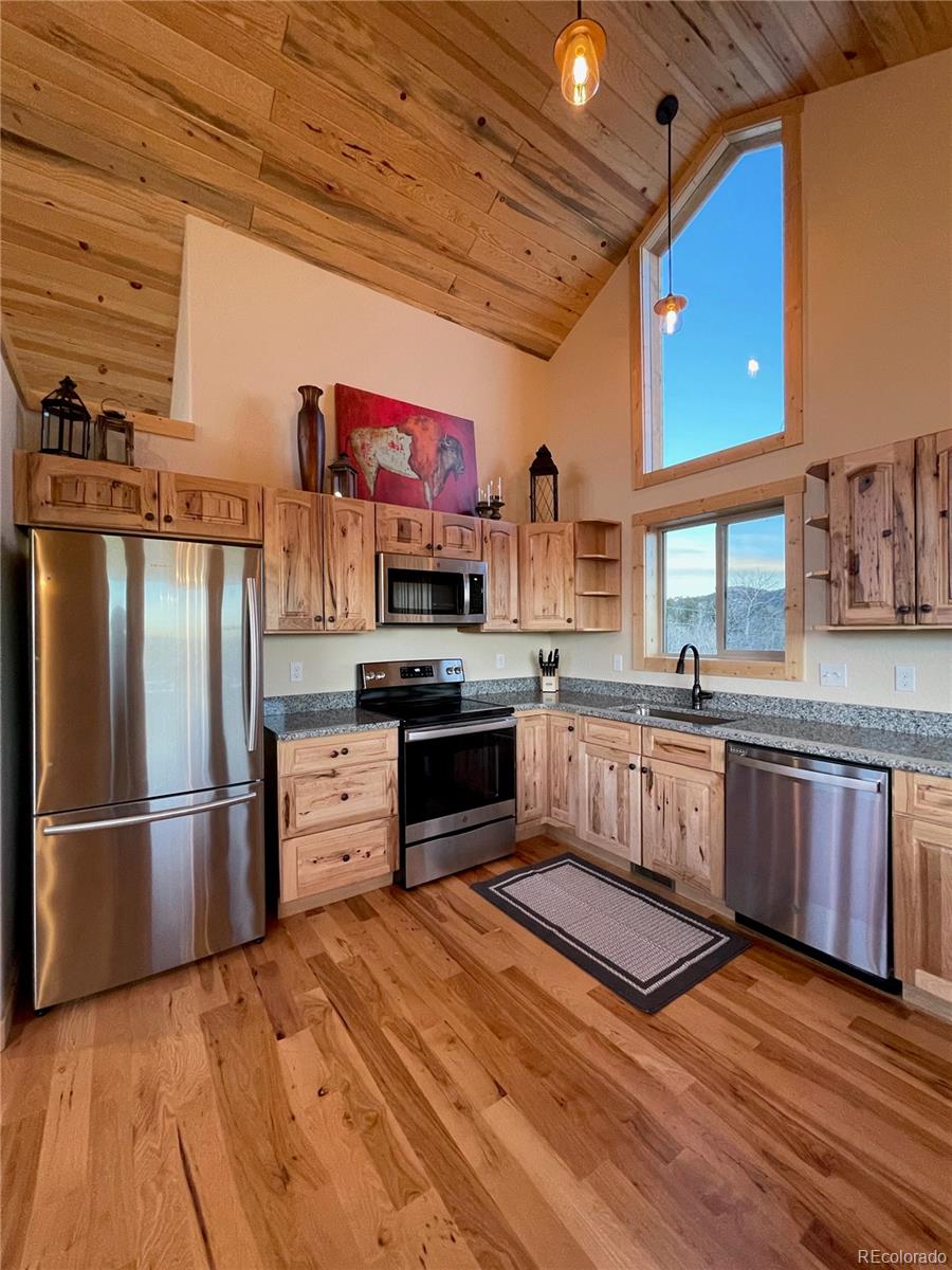 MLS Image #6 for 2379  pinto trail,como, Colorado