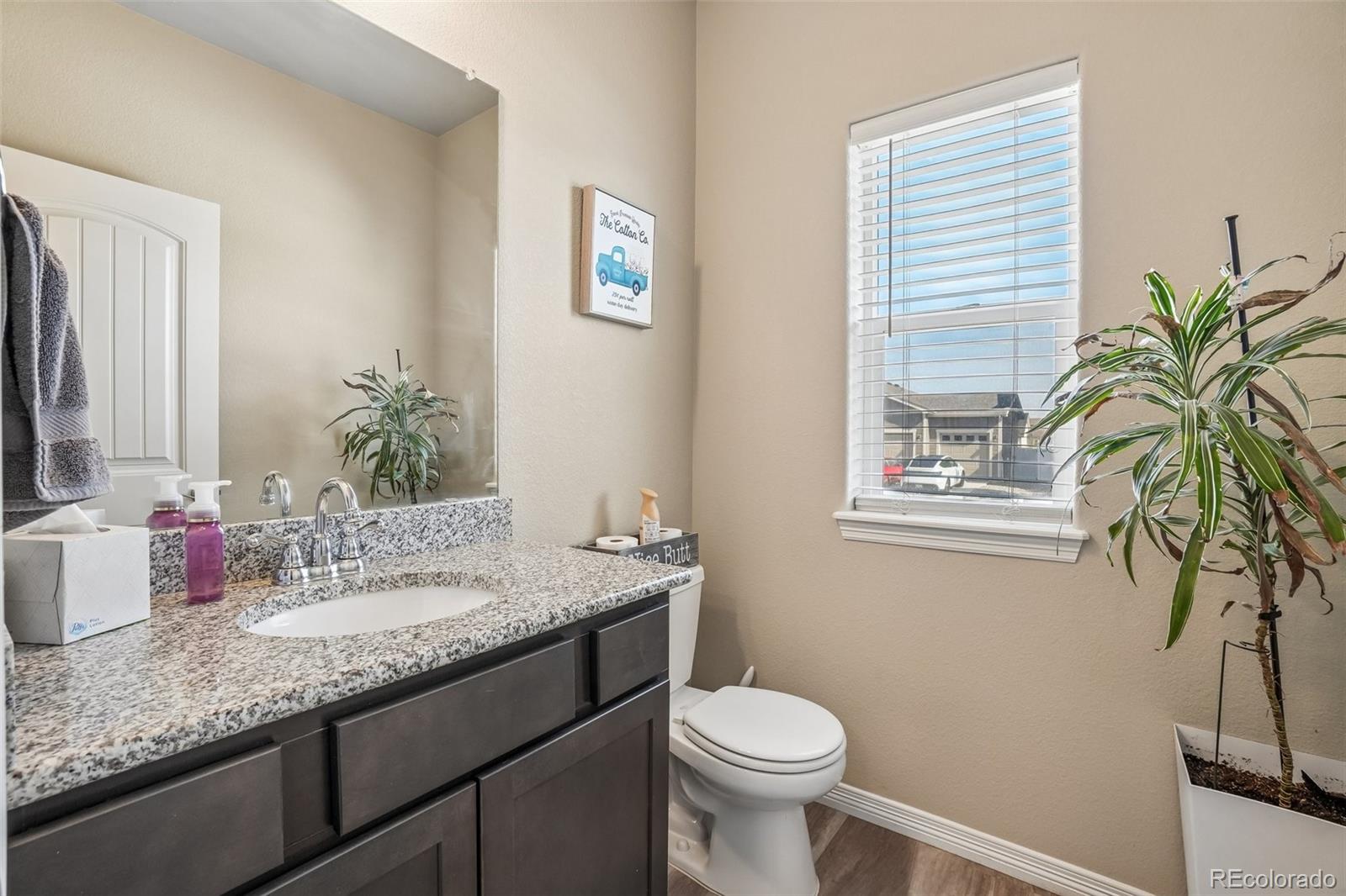 MLS Image #11 for 4988  priors drive,windsor, Colorado