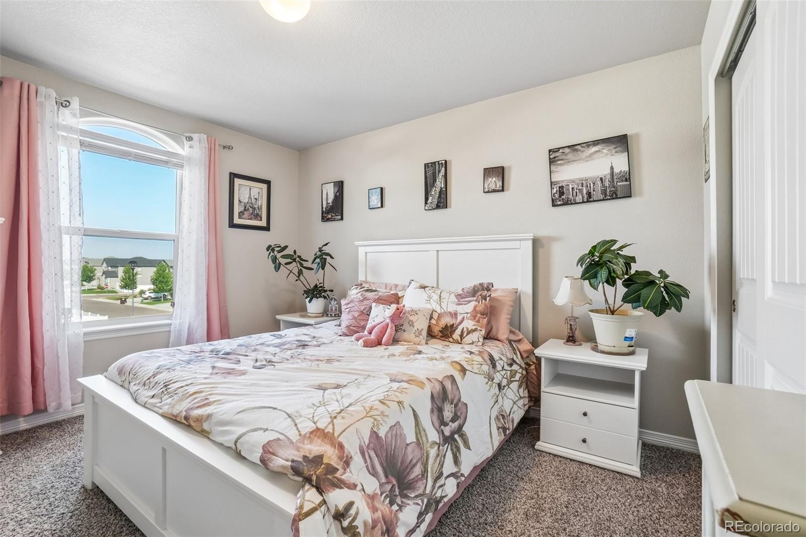 MLS Image #17 for 4988  priors drive,windsor, Colorado