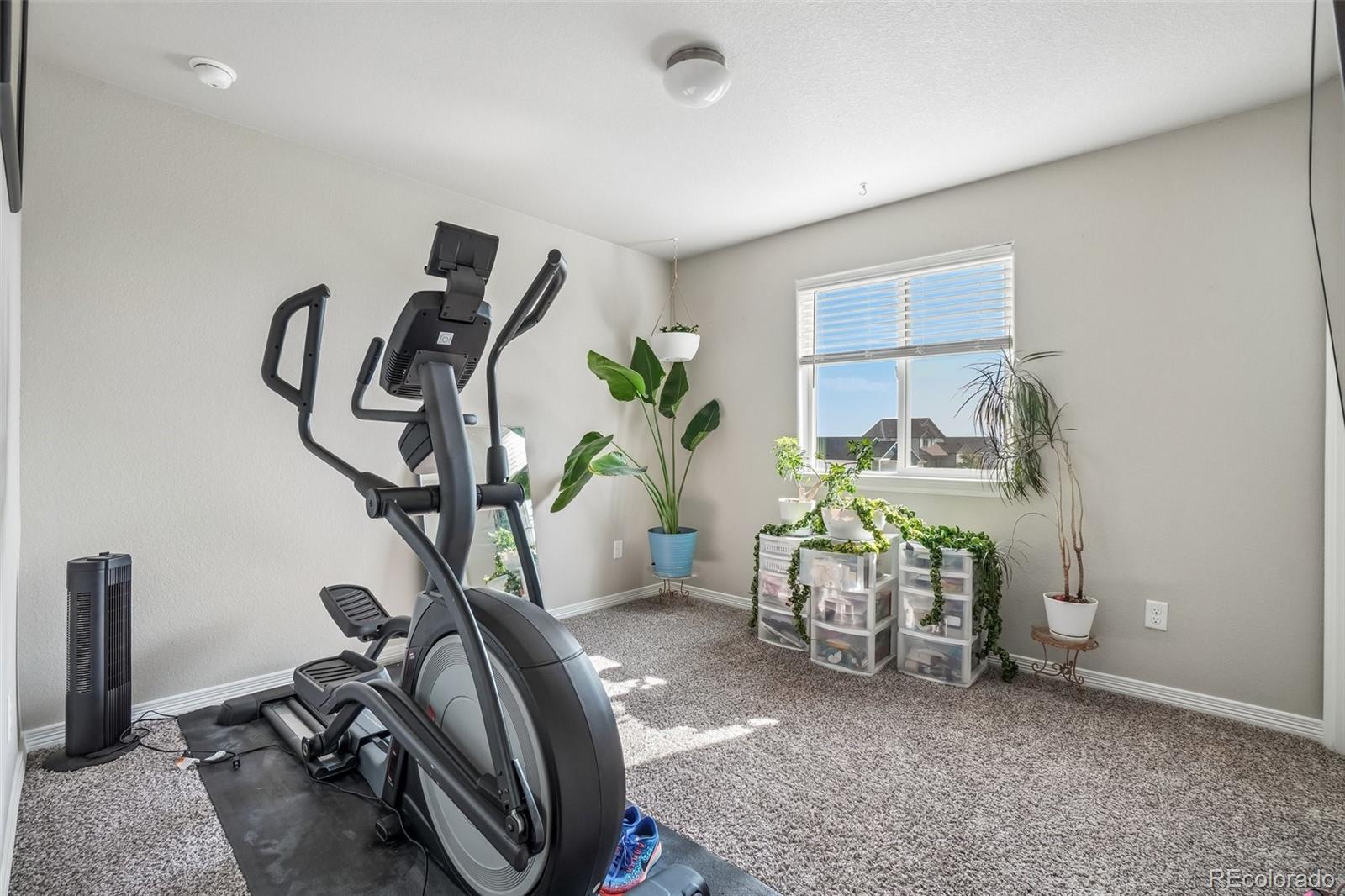 MLS Image #21 for 4988  priors drive,windsor, Colorado