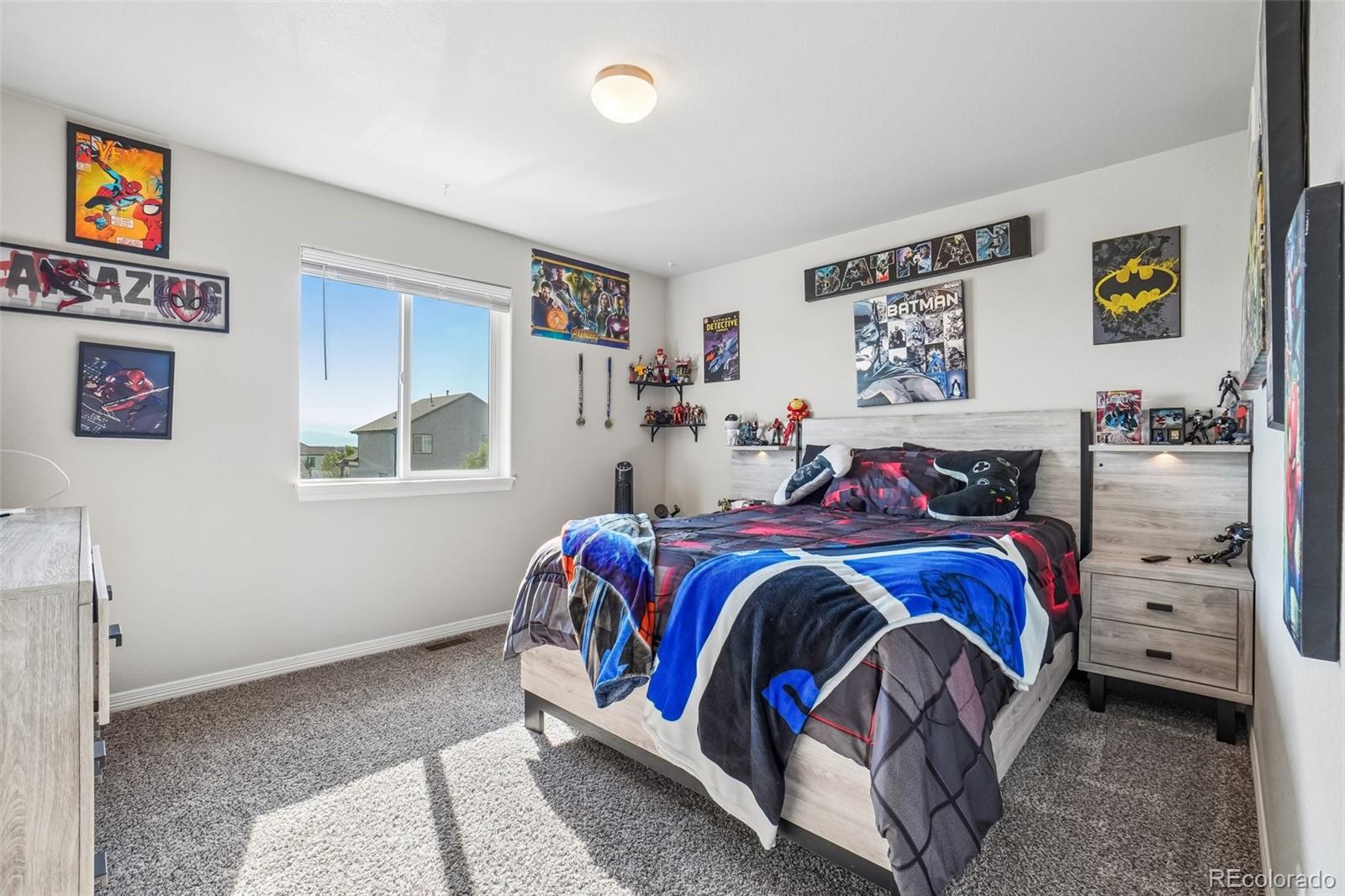 MLS Image #23 for 4988  priors drive,windsor, Colorado