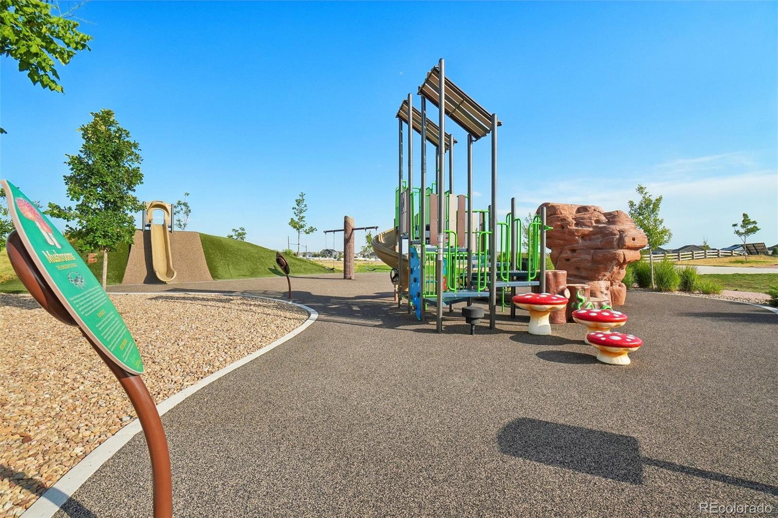MLS Image #35 for 4988  priors drive,windsor, Colorado