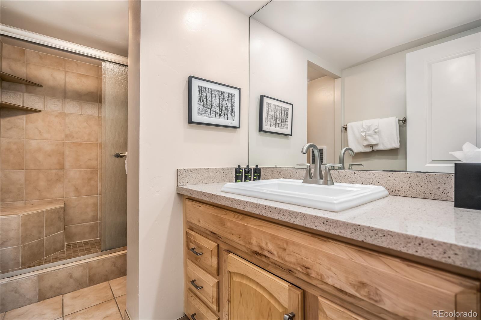 MLS Image #4 for 4660  vail racquet club drive,vail, Colorado