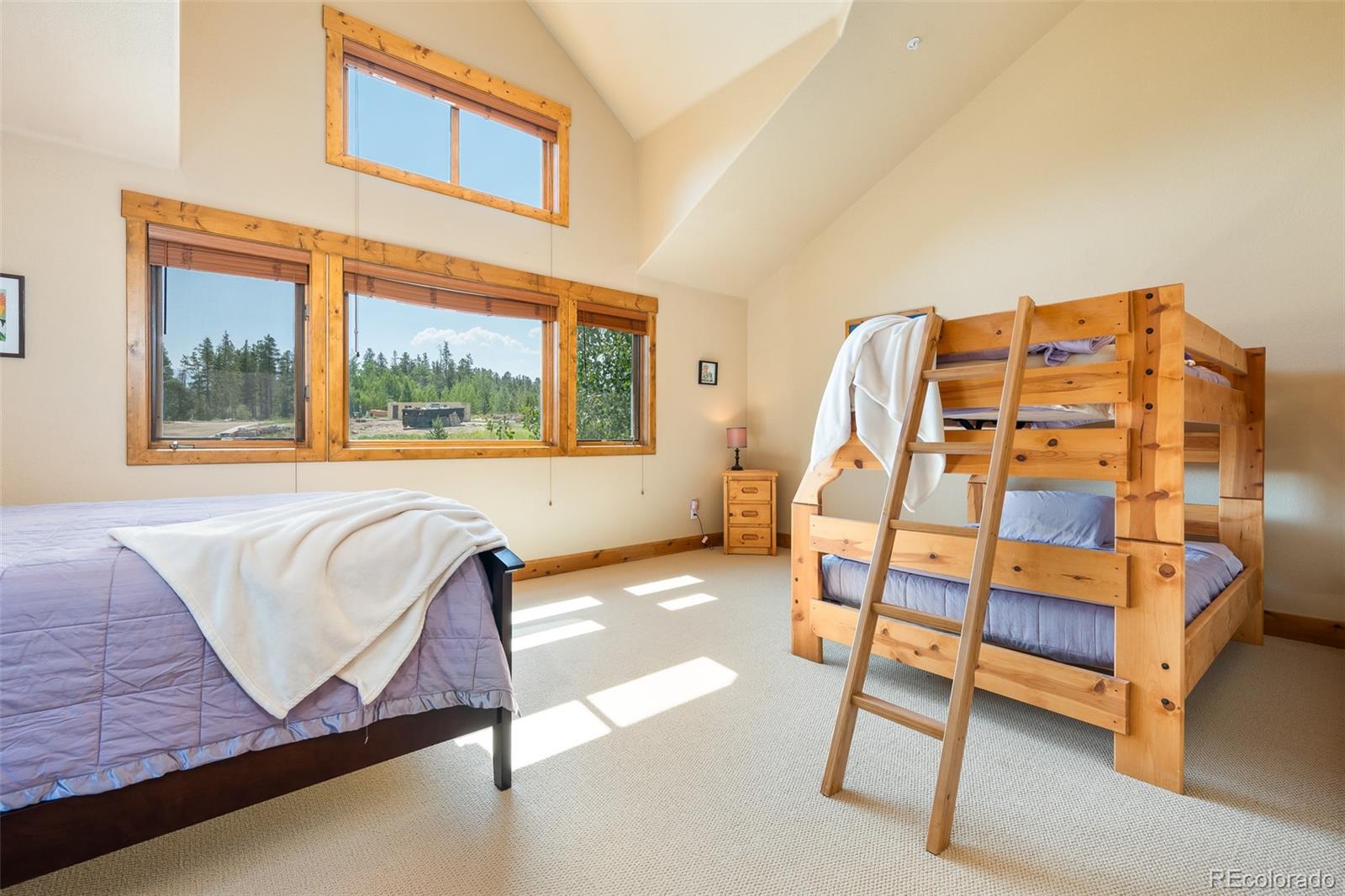 MLS Image #23 for 310  gcr 8342 ,fraser, Colorado