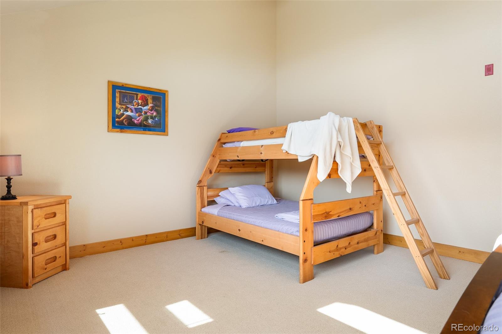 MLS Image #25 for 310  gcr 8342 ,fraser, Colorado