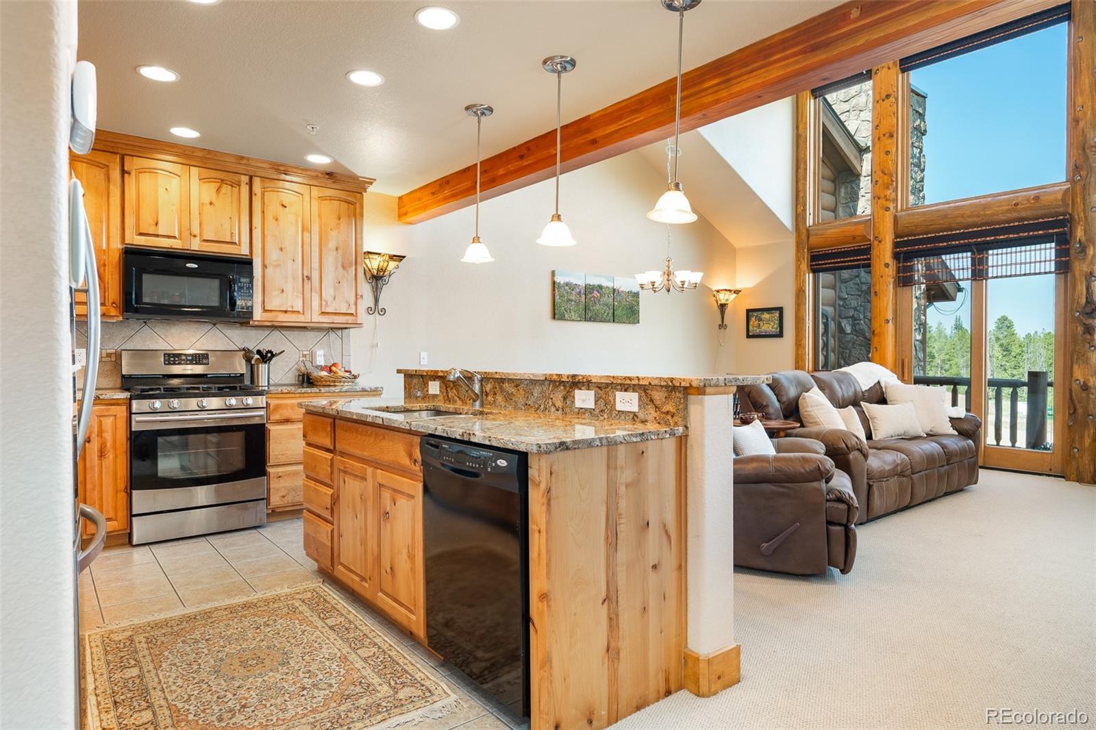 MLS Image #9 for 310  gcr 8342 ,fraser, Colorado