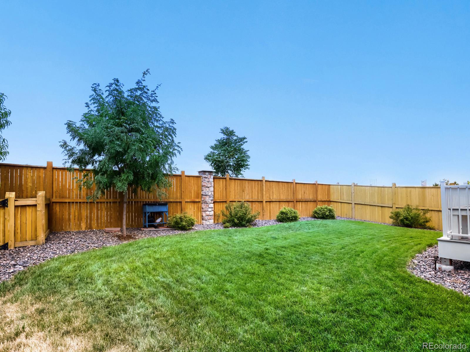 MLS Image #26 for 4426  garnet way,longmont, Colorado