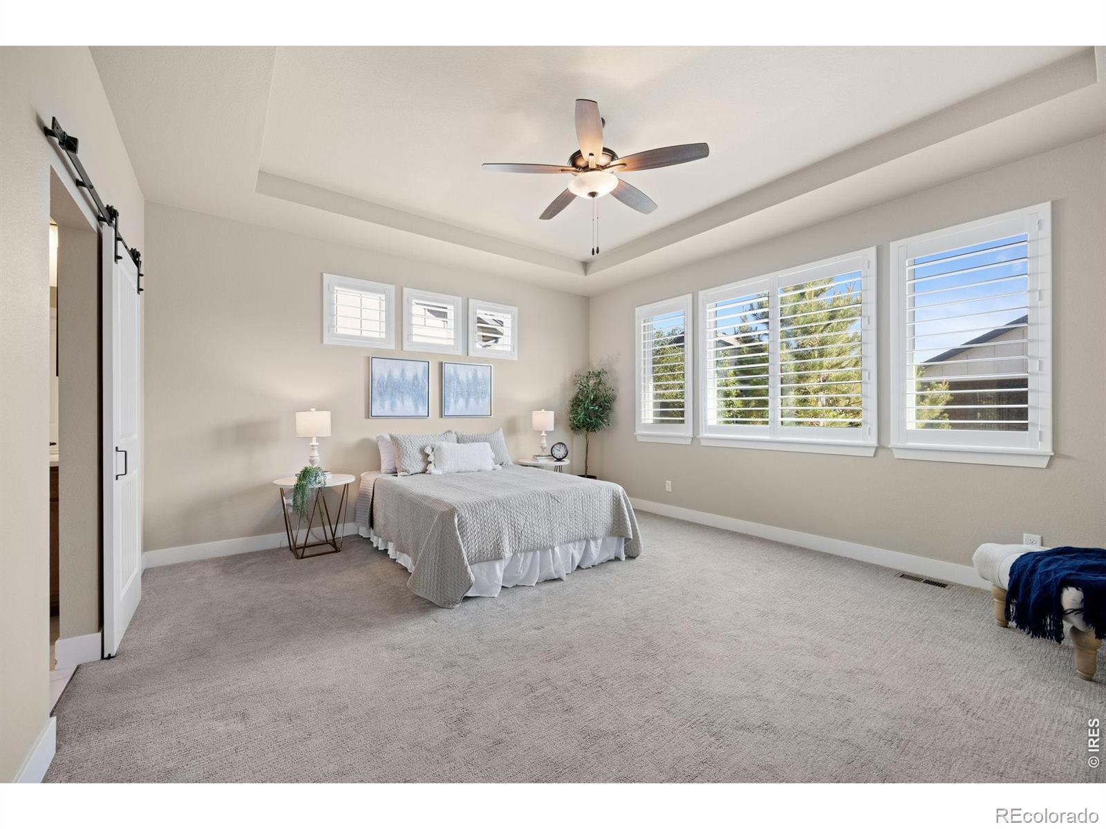 MLS Image #14 for 6965  foxton court,timnath, Colorado