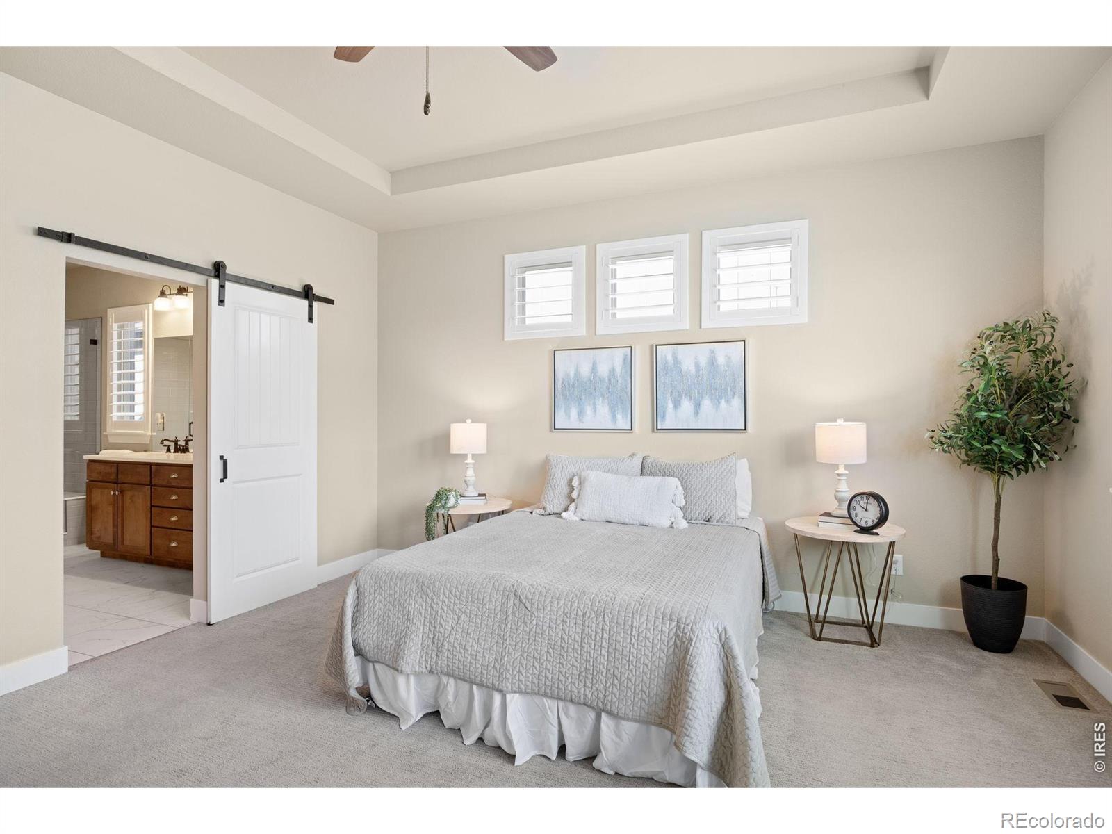 MLS Image #15 for 6965  foxton court,timnath, Colorado