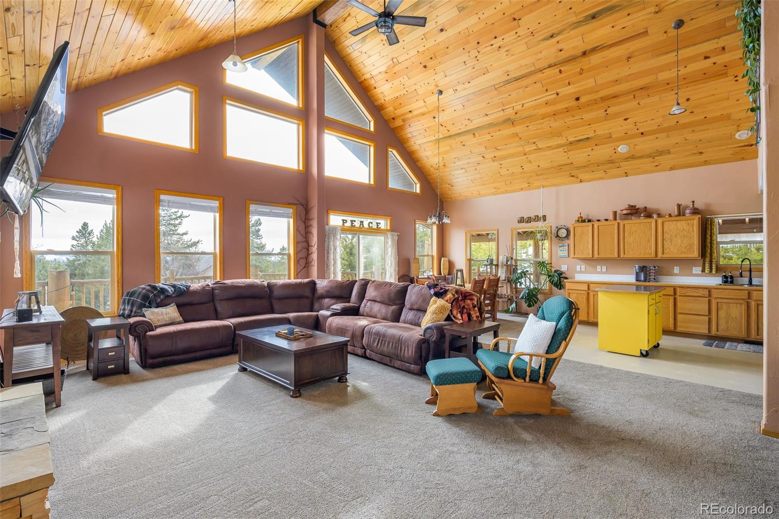 MLS Image #22 for 300 and 83  gcr 4431 ,grand lake, Colorado