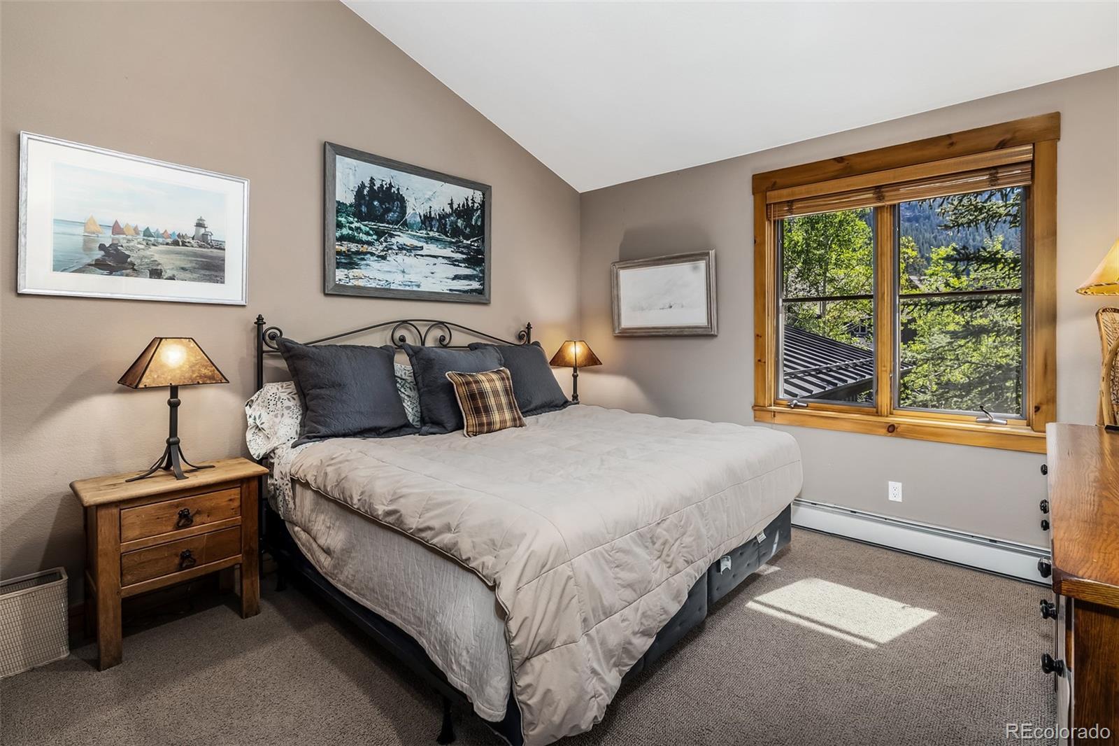 MLS Image #17 for 259  alpen rose place,keystone, Colorado