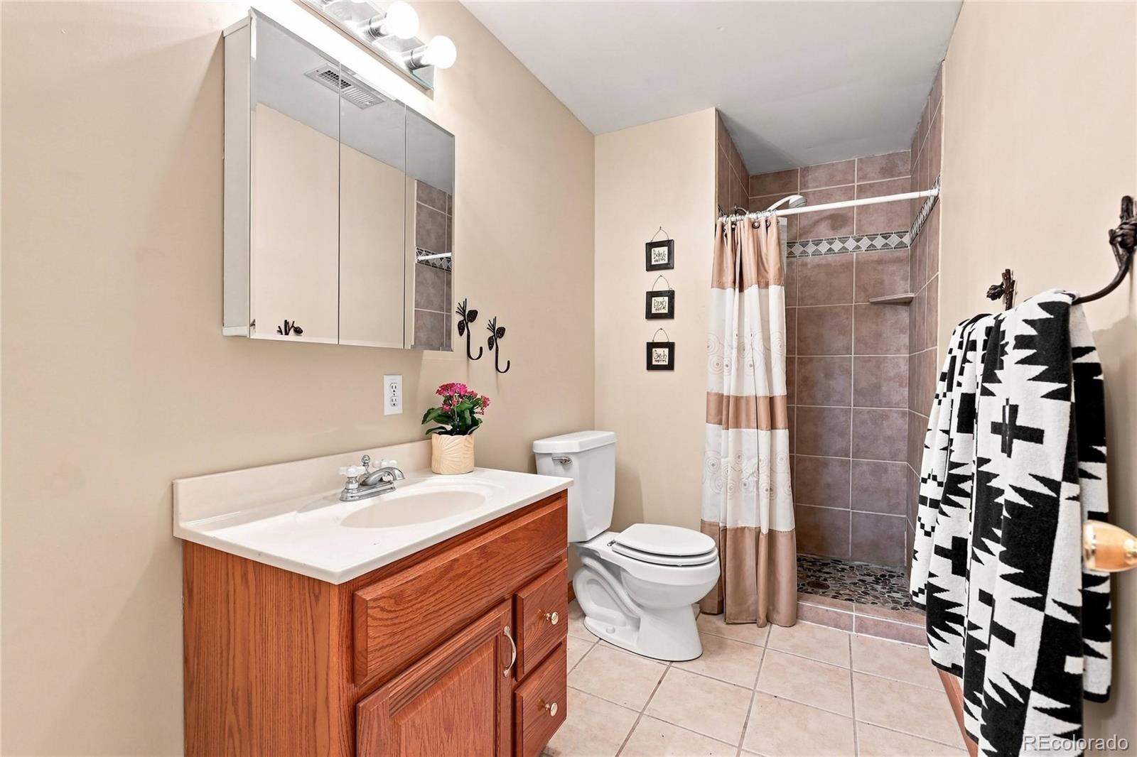 MLS Image #18 for 13851  pine valley road,pine, Colorado