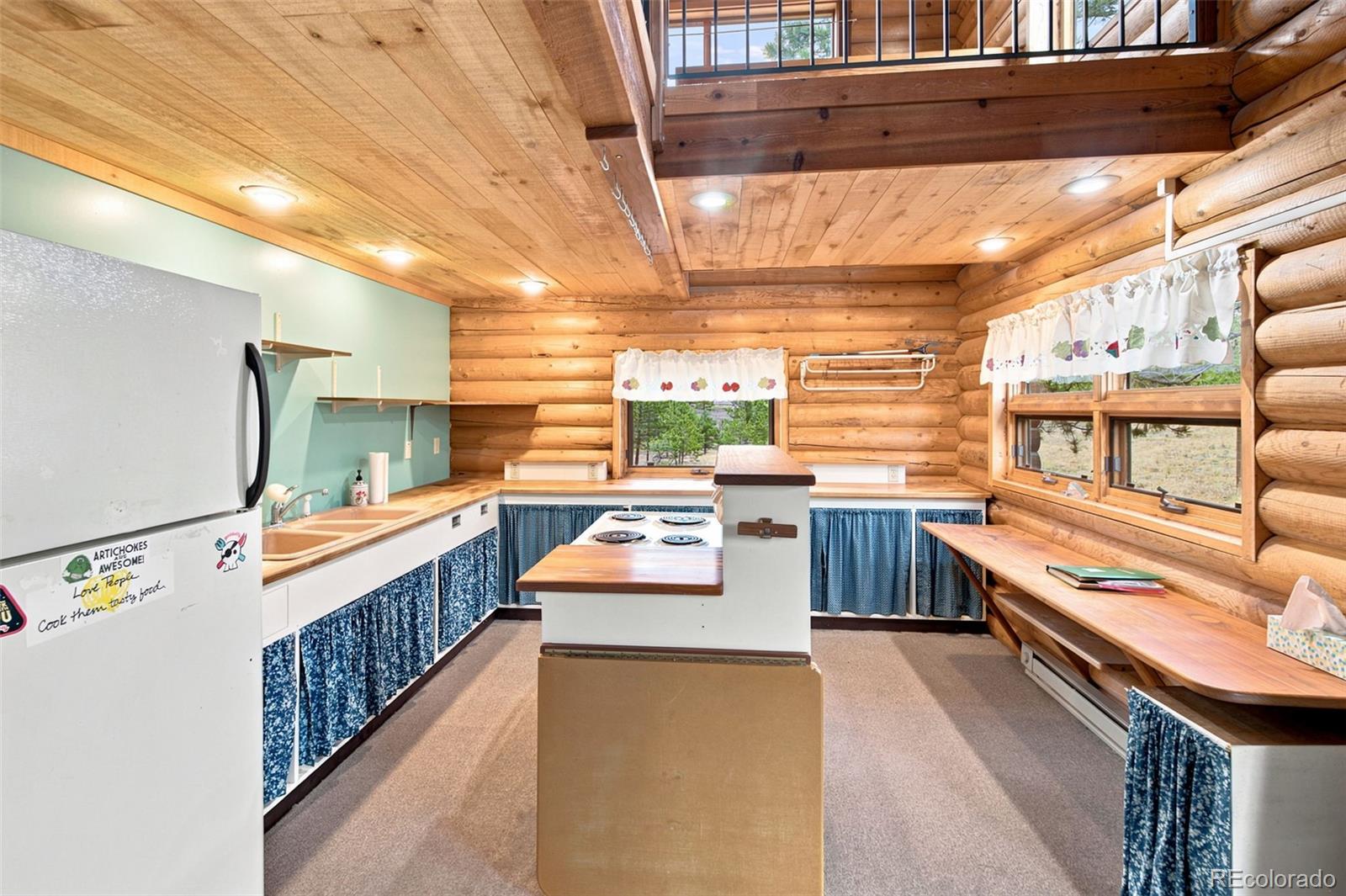 MLS Image #10 for 492  trail creek road,lake george, Colorado