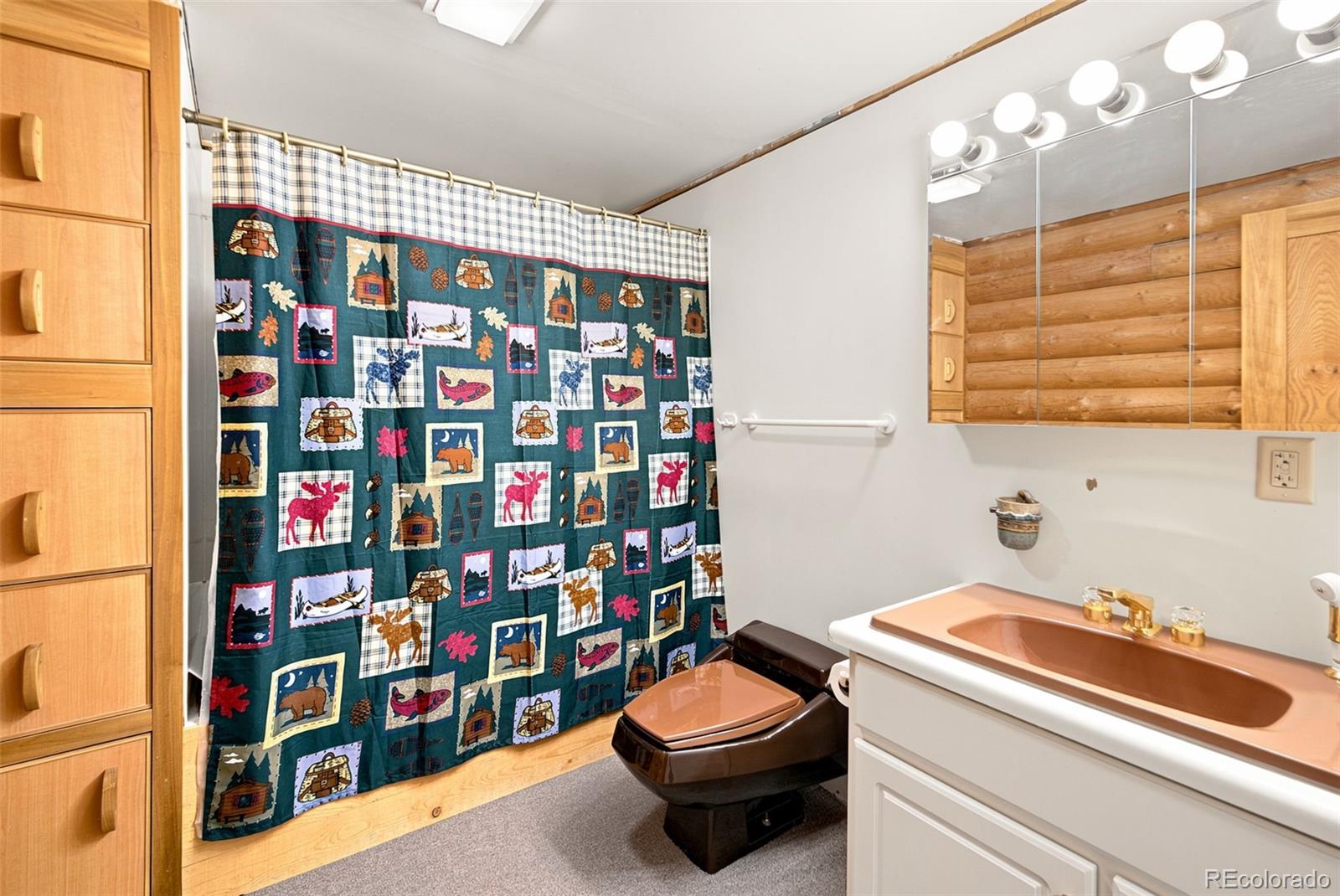 MLS Image #11 for 492  trail creek road,lake george, Colorado