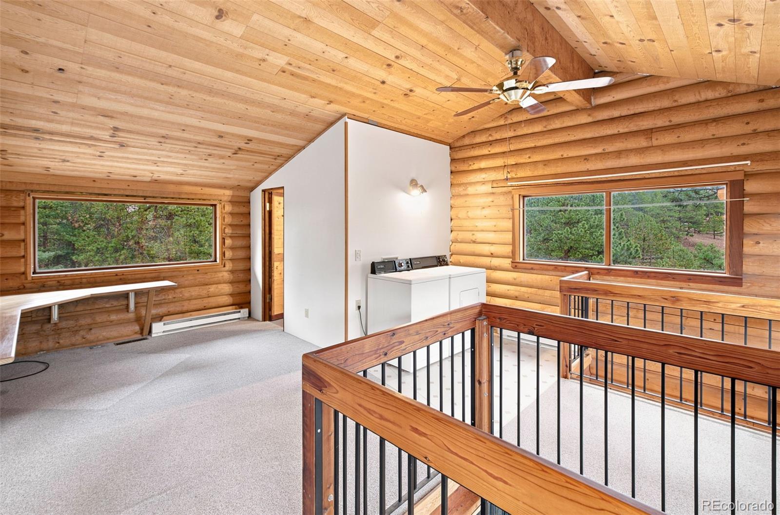 MLS Image #13 for 492  trail creek road,lake george, Colorado
