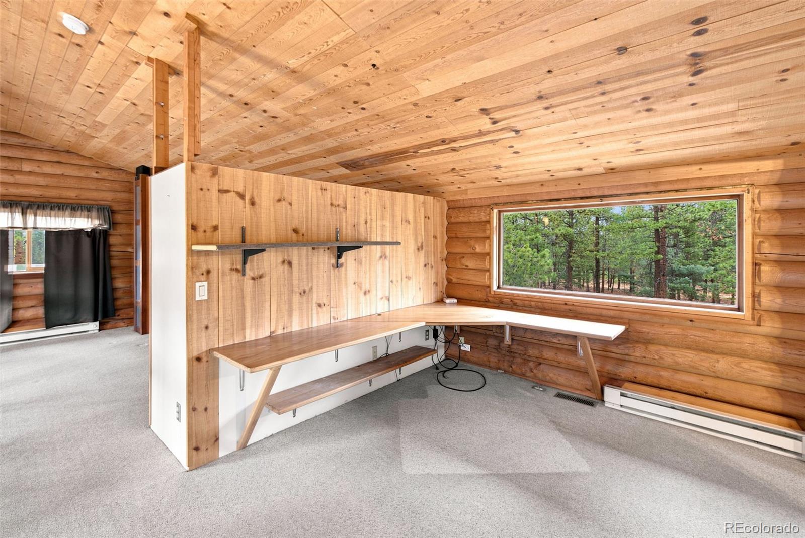 MLS Image #15 for 492  trail creek road,lake george, Colorado