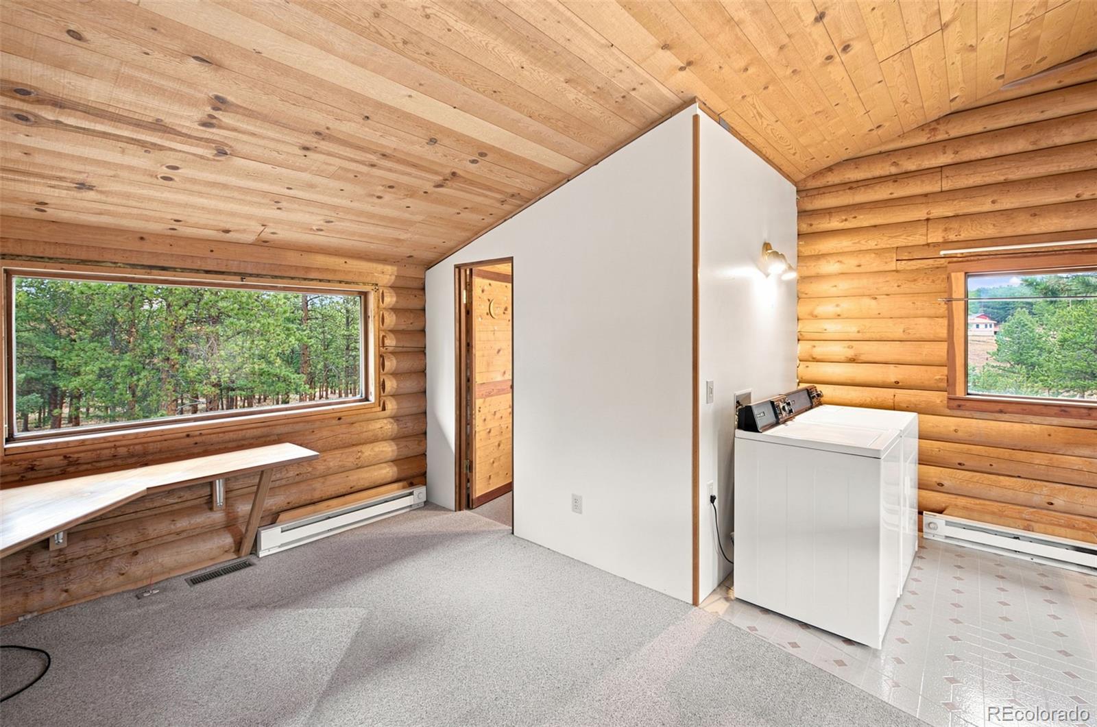 MLS Image #18 for 492  trail creek road,lake george, Colorado