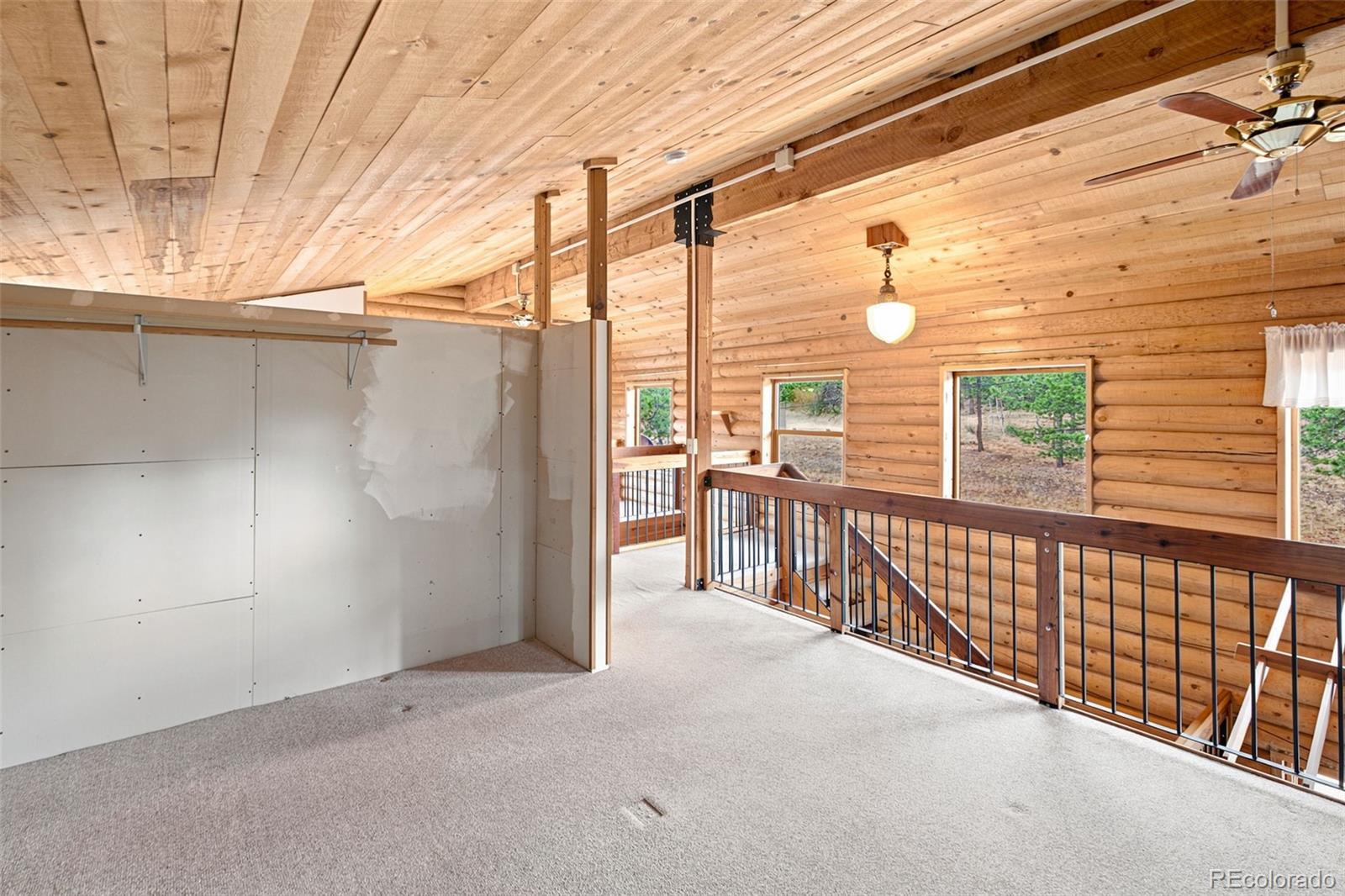 MLS Image #21 for 492  trail creek road,lake george, Colorado