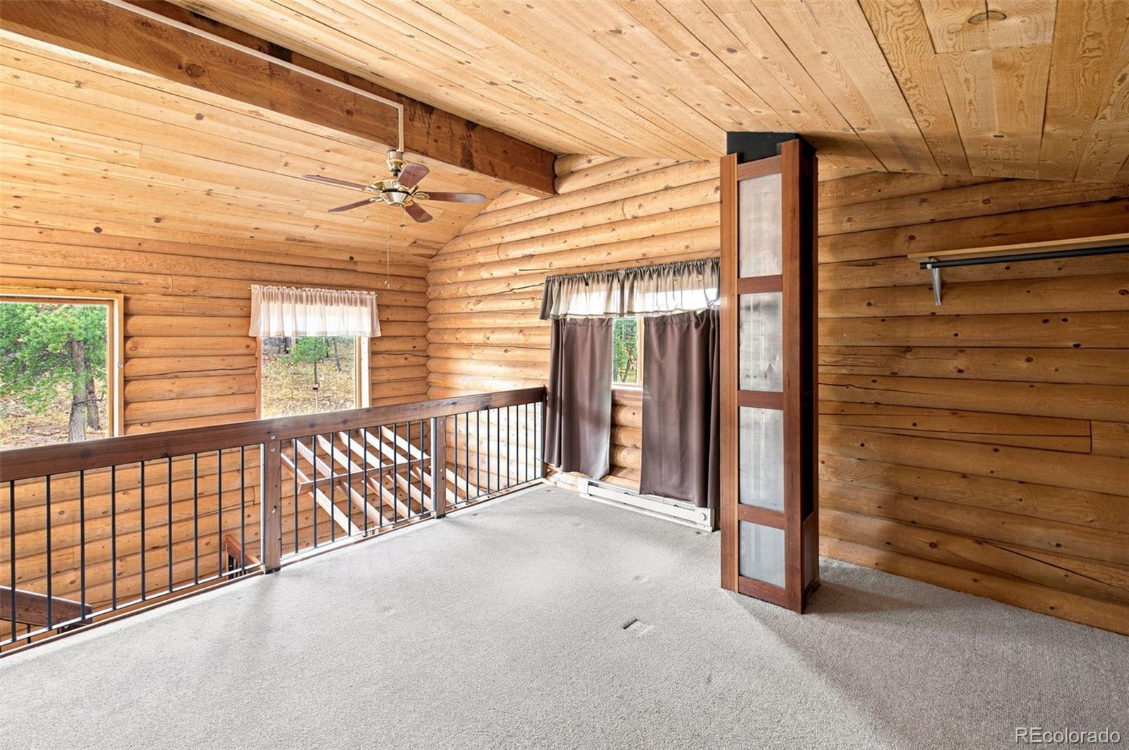 MLS Image #22 for 492  trail creek road,lake george, Colorado