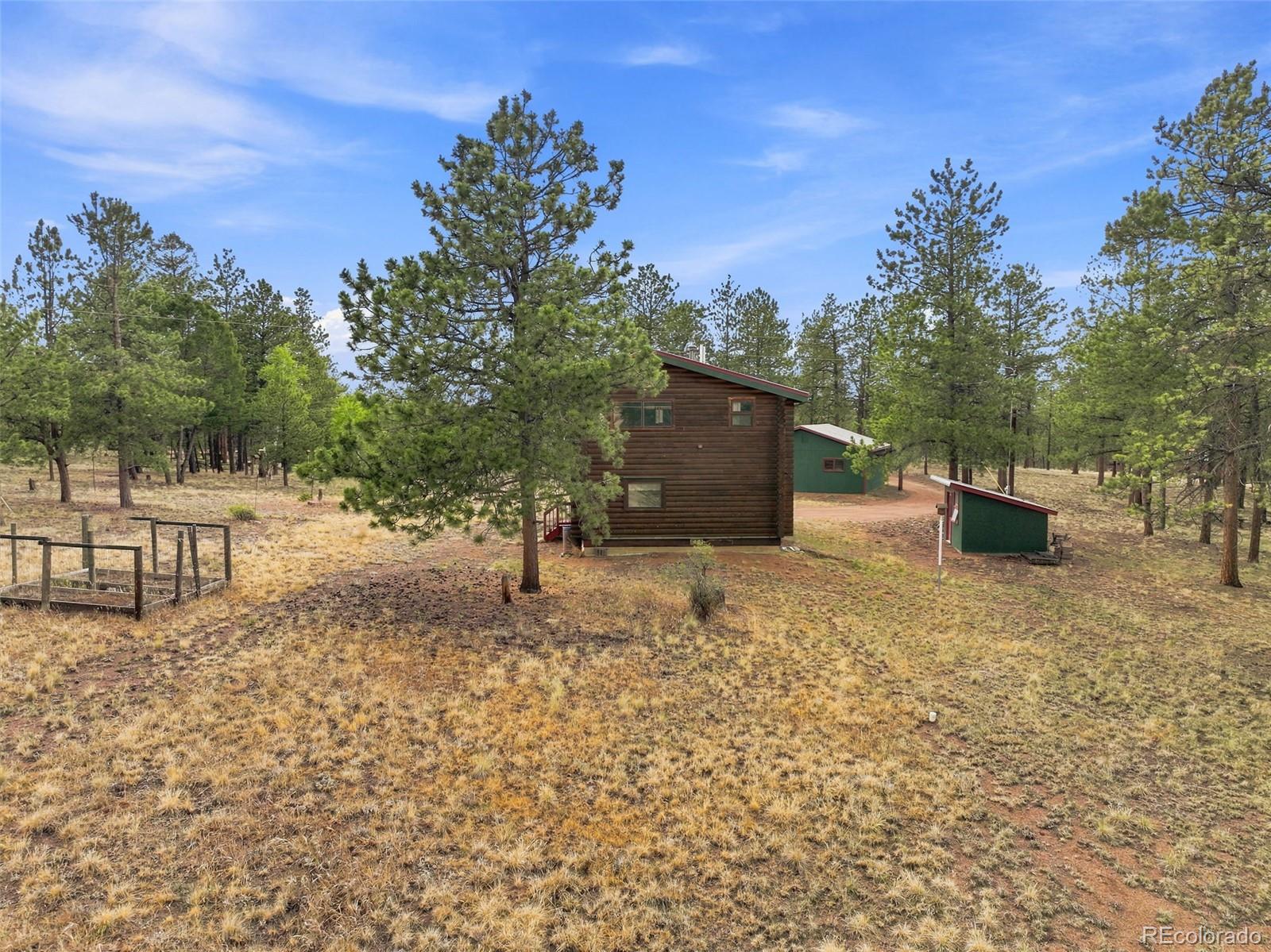 MLS Image #39 for 492  trail creek road,lake george, Colorado