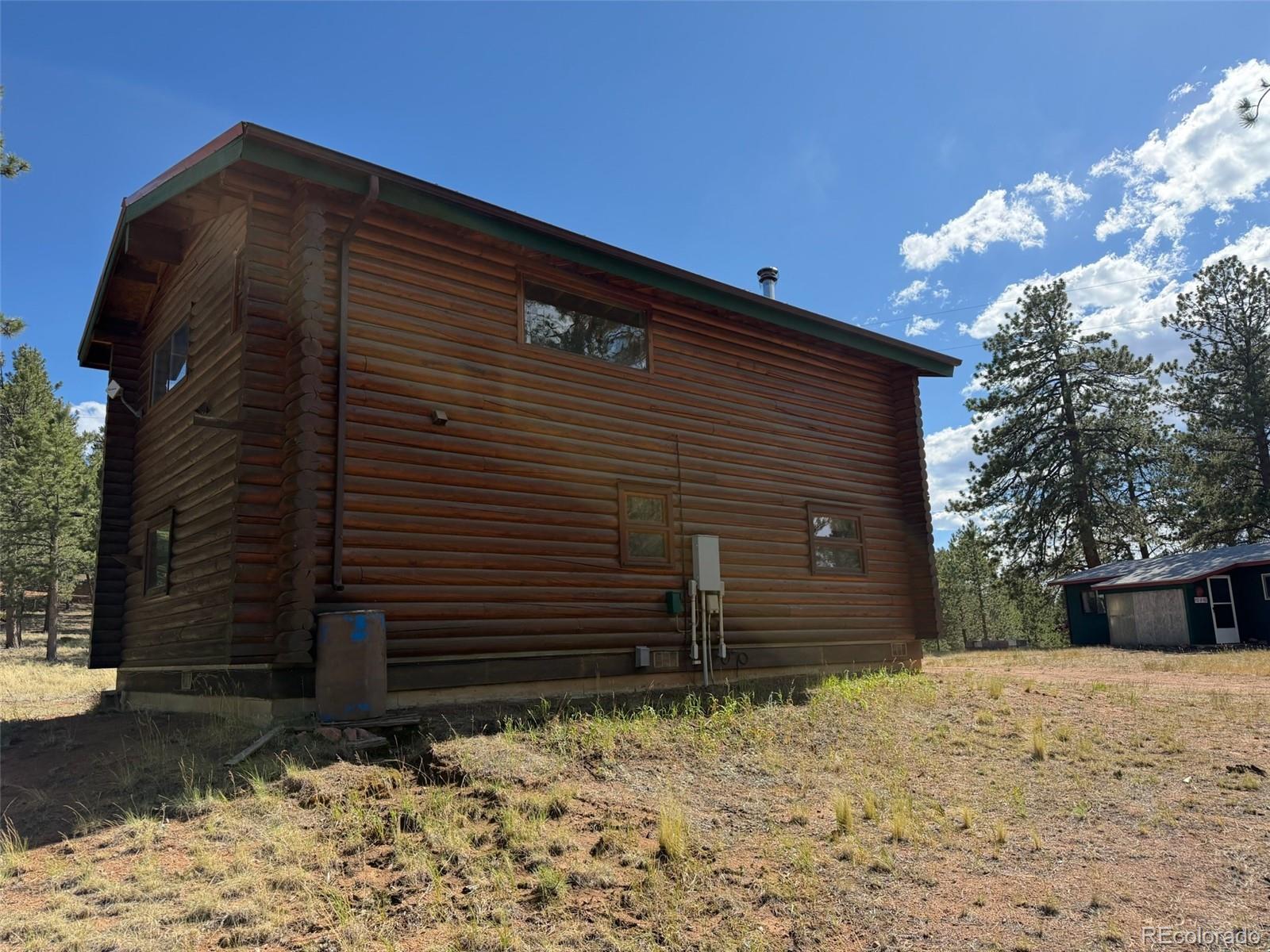 MLS Image #4 for 492  trail creek road,lake george, Colorado