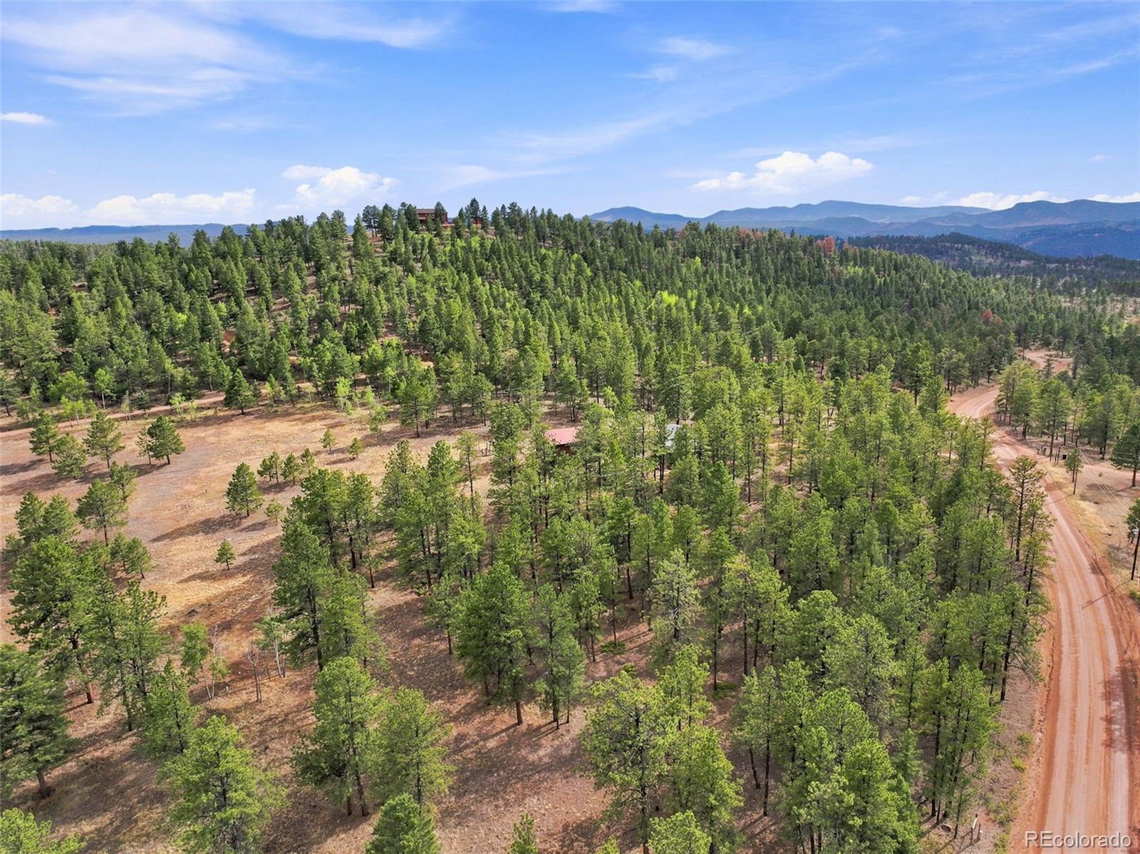MLS Image #42 for 492  trail creek road,lake george, Colorado