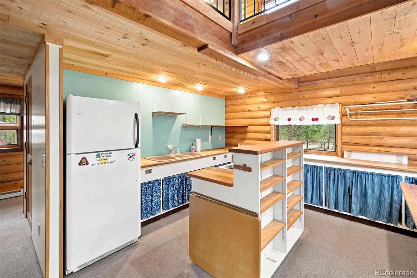 MLS Image #8 for 492  trail creek road,lake george, Colorado