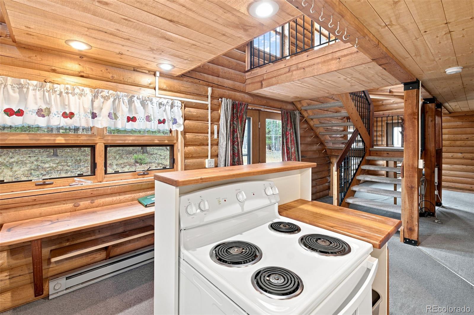 MLS Image #9 for 492  trail creek road,lake george, Colorado