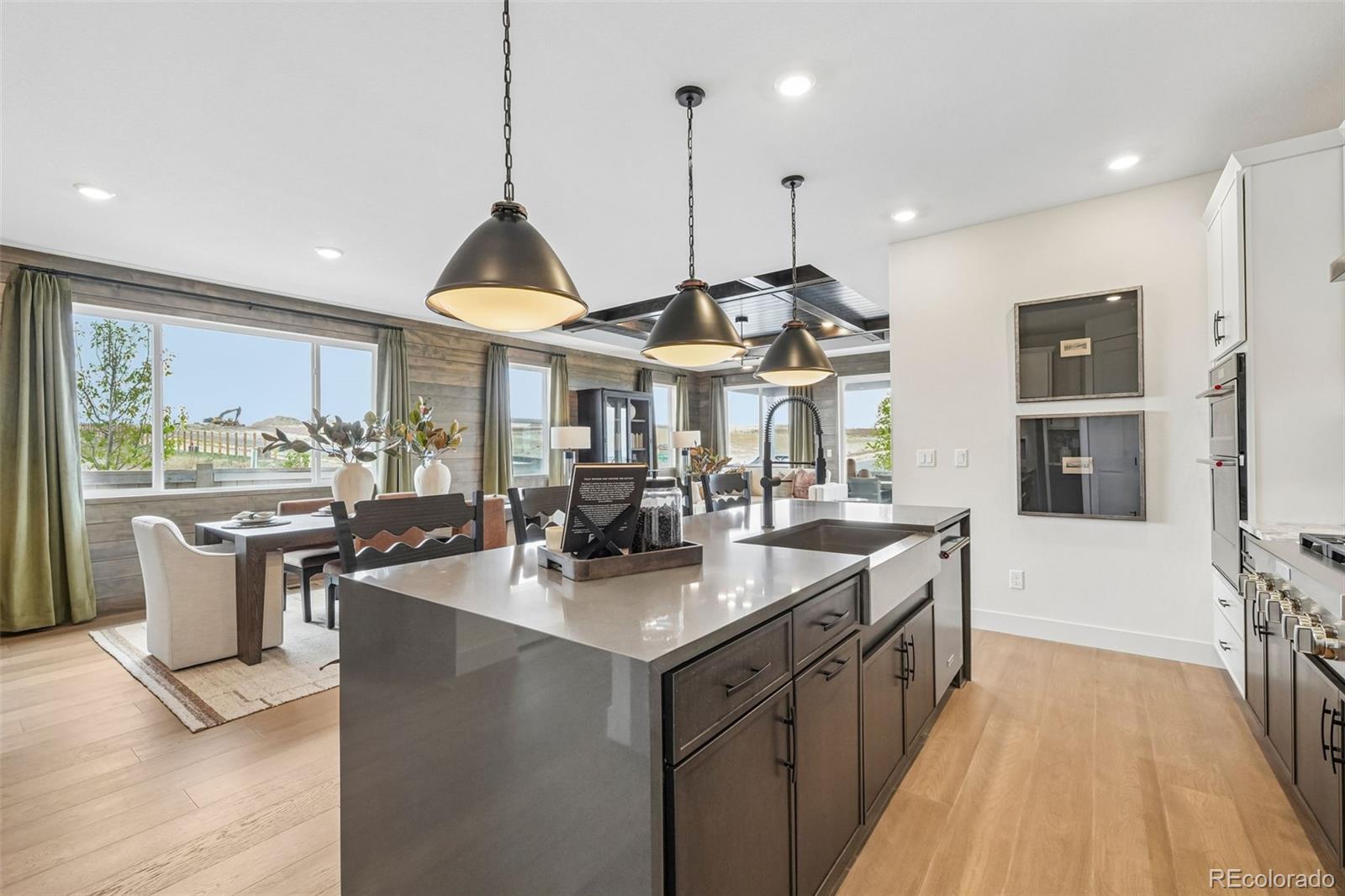 MLS Image #6 for 13564  solaris street,parker, Colorado
