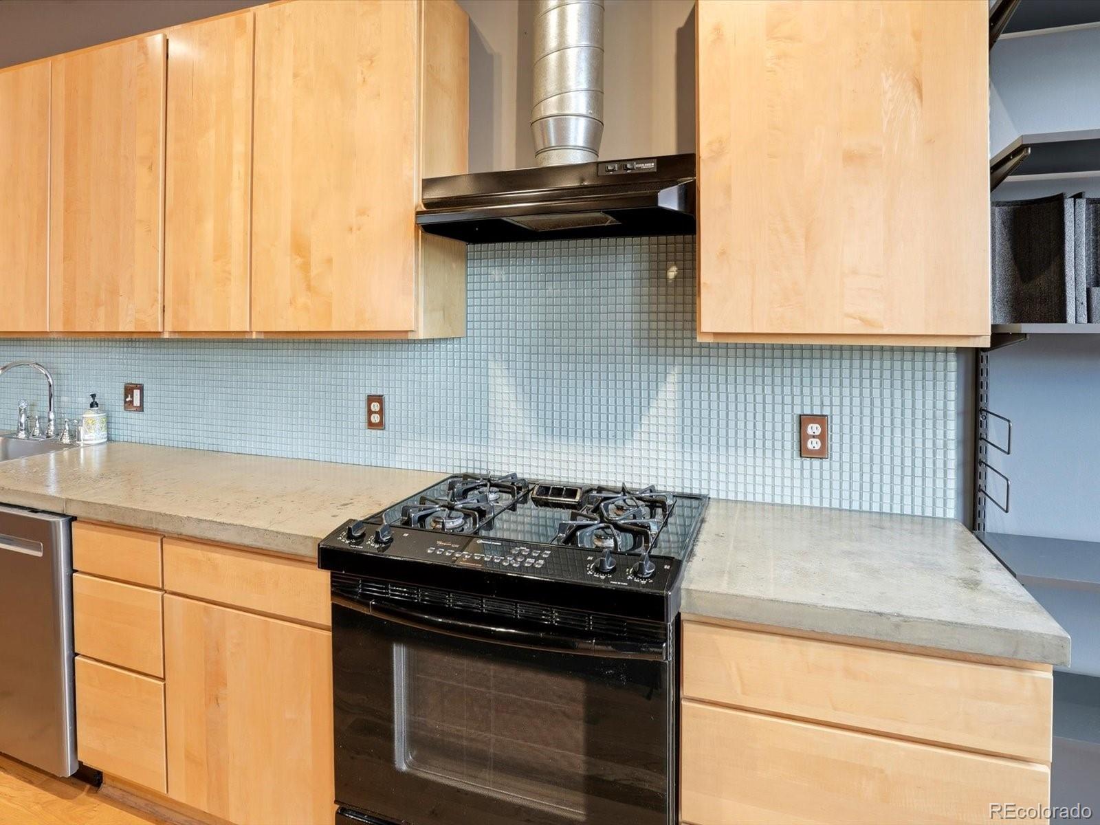 MLS Image #12 for 2955  inca street,denver, Colorado