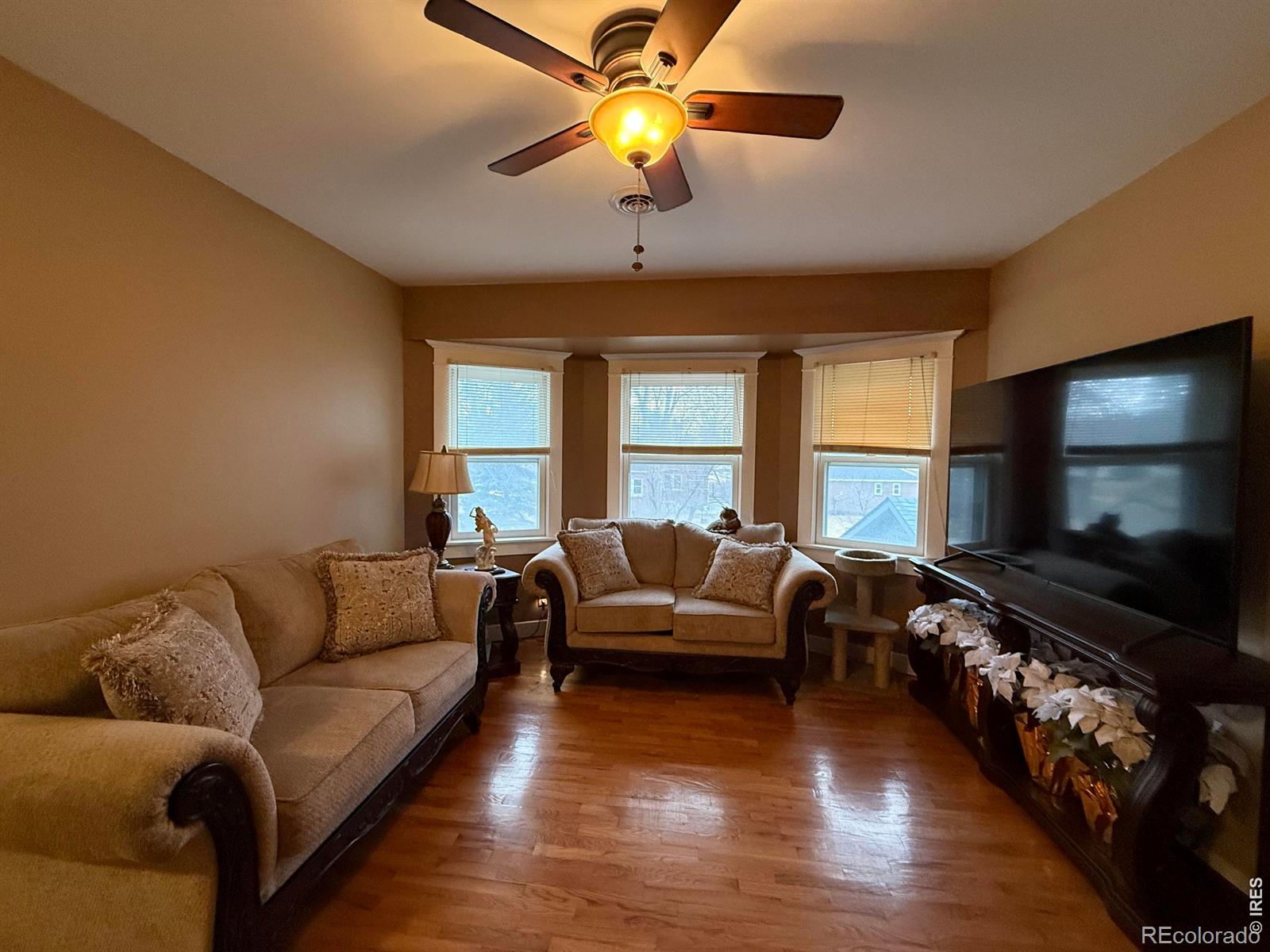 MLS Image #5 for 324 s bowman avenue,holyoke, Colorado