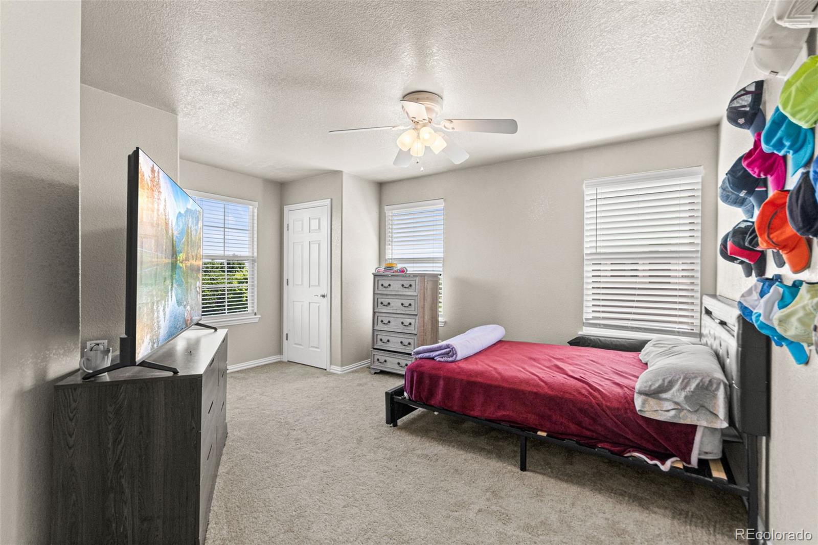 MLS Image #38 for 16534 e fire fly avenue,parker, Colorado