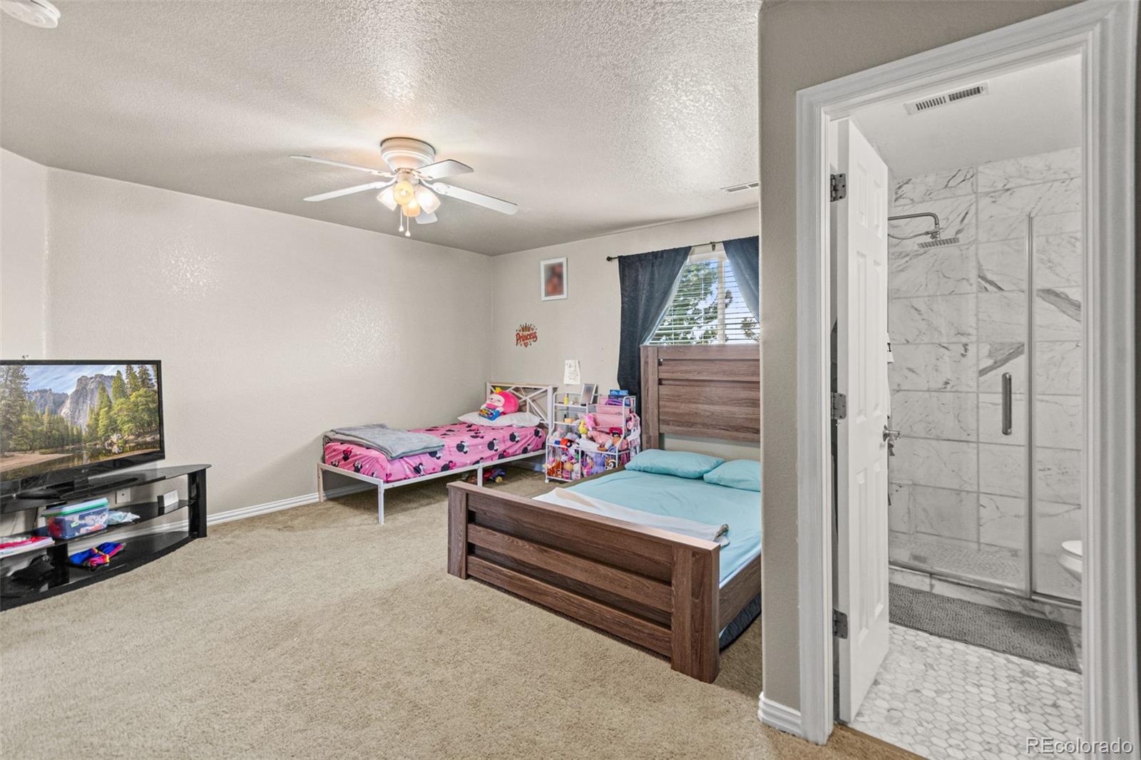 MLS Image #43 for 16534 e fire fly avenue,parker, Colorado