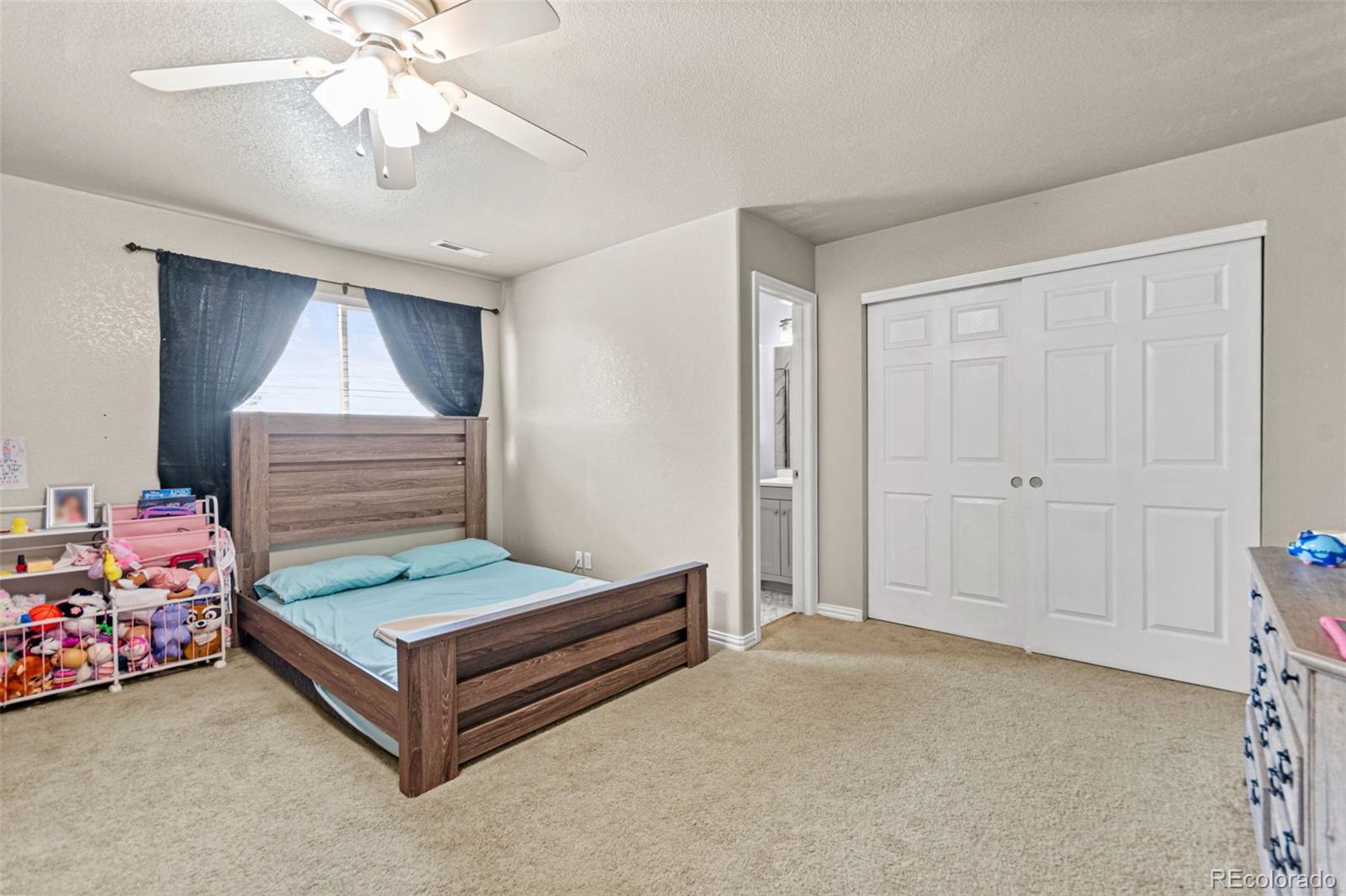 MLS Image #44 for 16534 e fire fly avenue,parker, Colorado