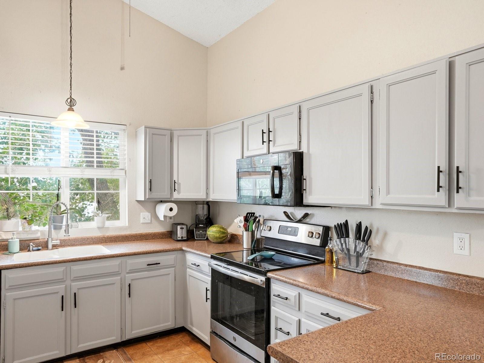 MLS Image #4 for 16665  ninebark way,parker, Colorado